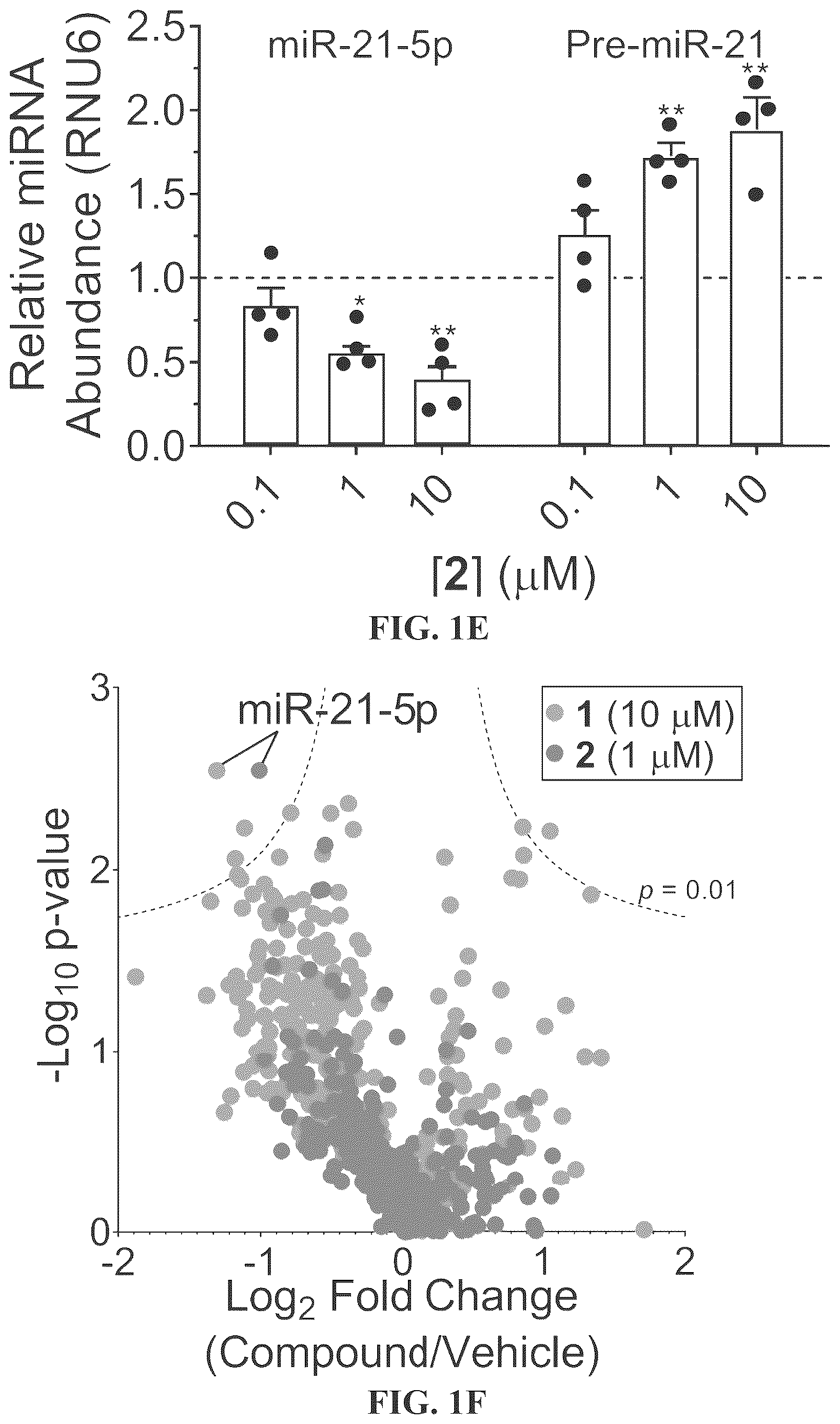 Patent US12617757 Figure 5 – Compounds and modules for inhibition of pre-miR-21 and their use in treatment of certain cancers