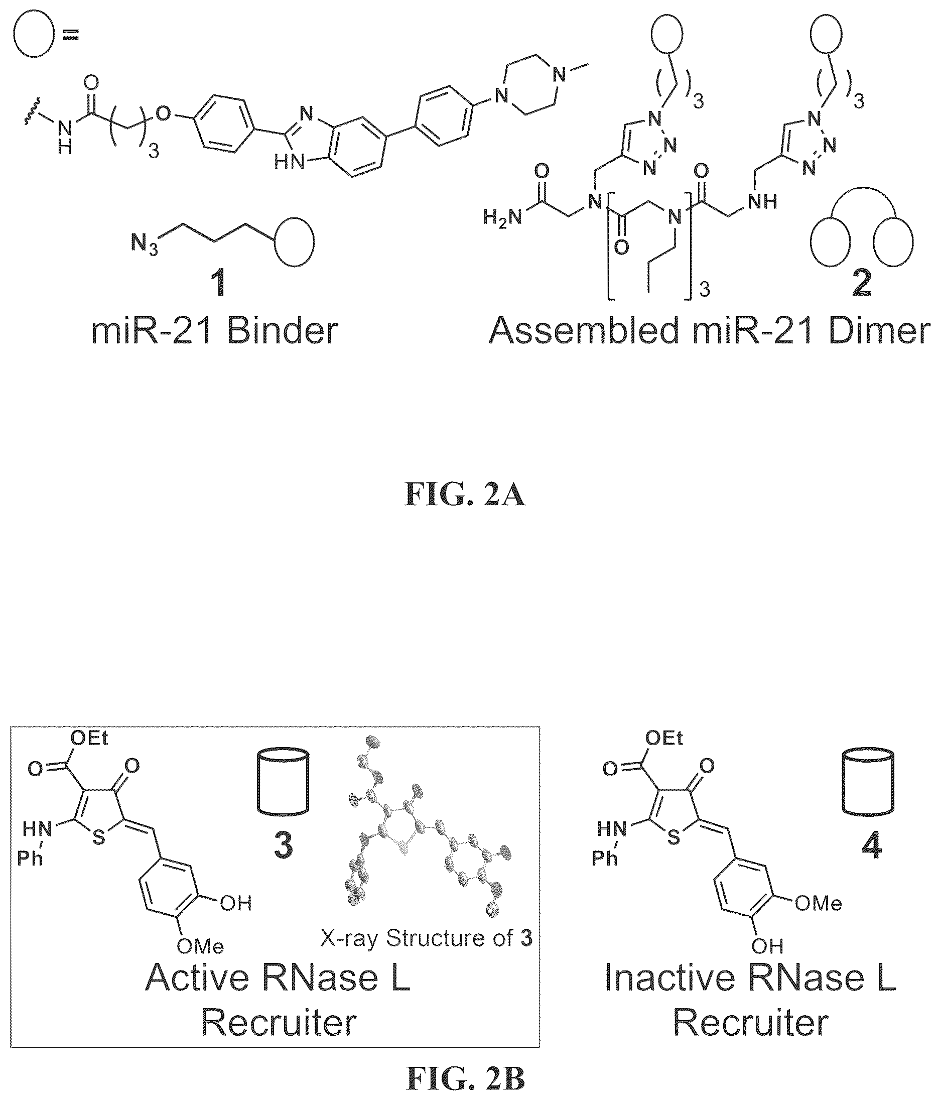 Patent US12617757 Figure 6 – Compounds and modules for inhibition of pre-miR-21 and their use in treatment of certain cancers