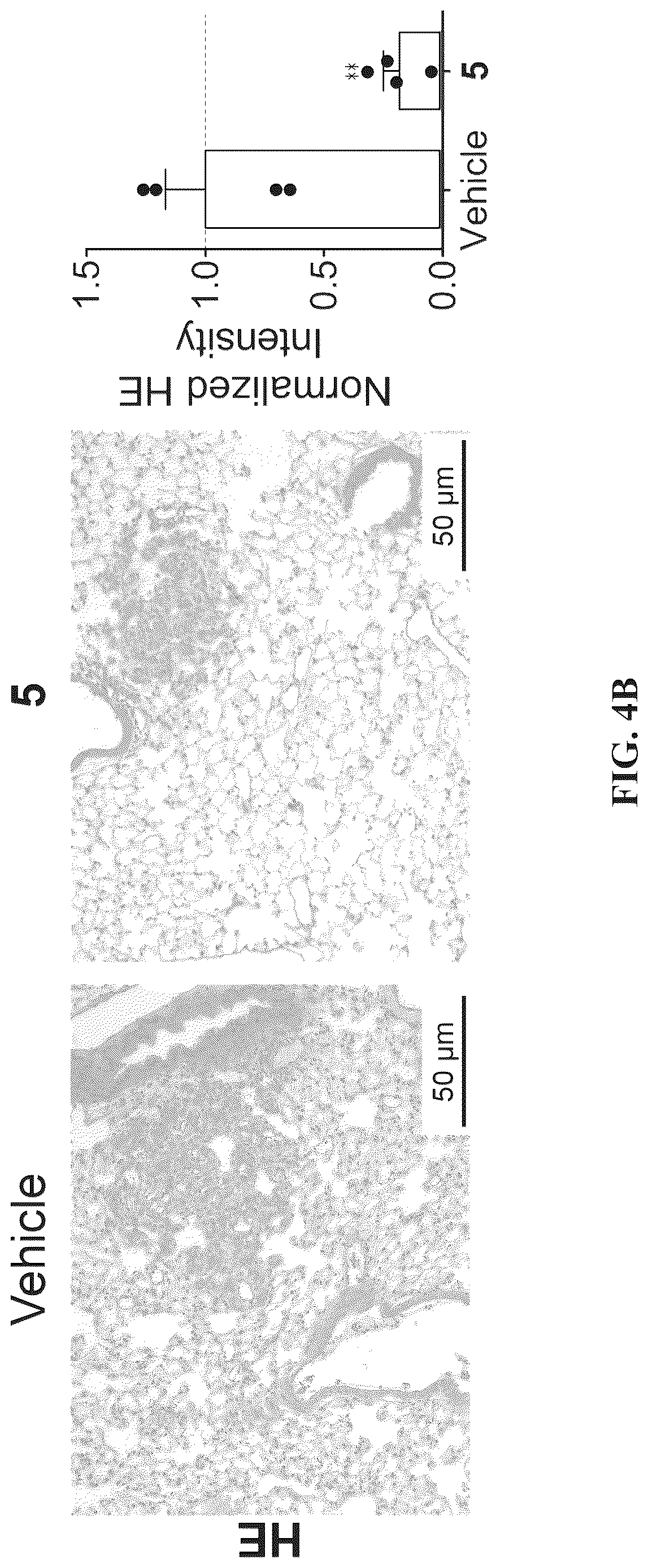 Patent US12617757 Figure 14 – Compounds and modules for inhibition of pre-miR-21 and their use in treatment of certain cancers