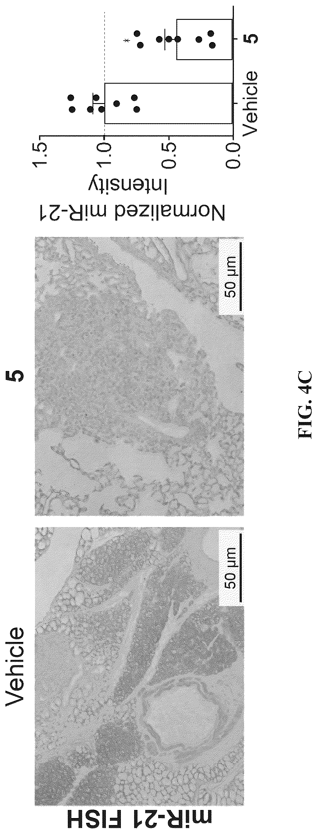 Patent US12617757 Figure 15 – Compounds and modules for inhibition of pre-miR-21 and their use in treatment of certain cancers