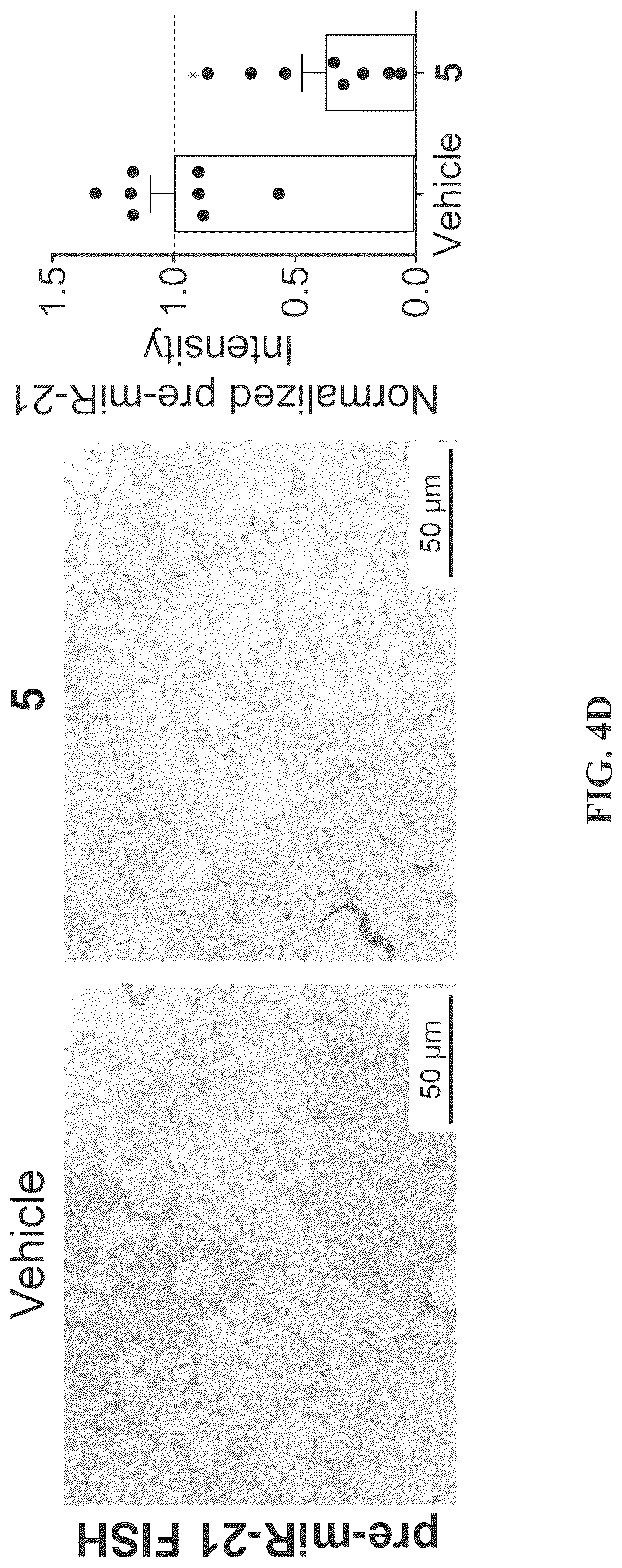 Patent US12617757 Figure 16 – Compounds and modules for inhibition of pre-miR-21 and their use in treatment of certain cancers