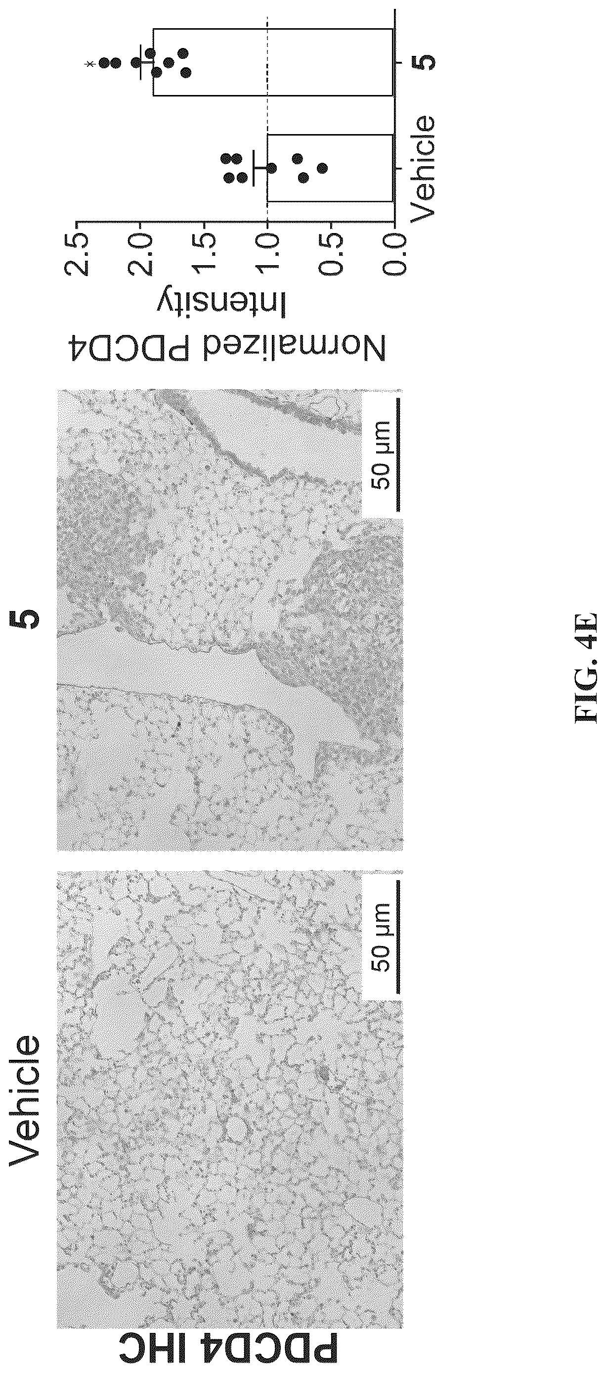Patent US12617757 Figure 17 – Compounds and modules for inhibition of pre-miR-21 and their use in treatment of certain cancers