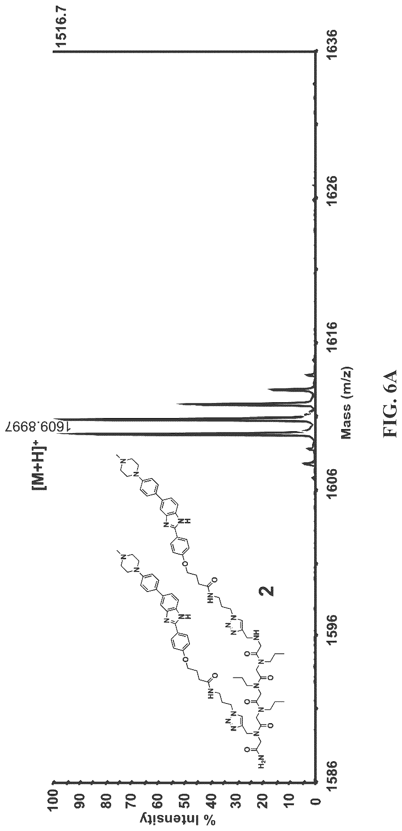 Patent US12617757 Figure 20 – Compounds and modules for inhibition of pre-miR-21 and their use in treatment of certain cancers