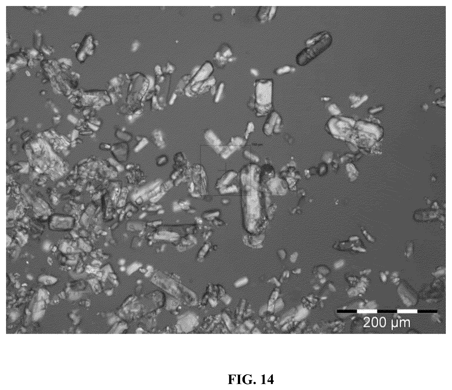 Patent US12617776 Figure 14 – Stable salt and crystal forms of 2-[3-({1-[2-(dimethylamino)ethyl]-2-(2,2-dimethylpropyl)-1H-1,3-benzodiazol-5-yl}sulfonyl)azetidin-1-yl]ethan-1-ol