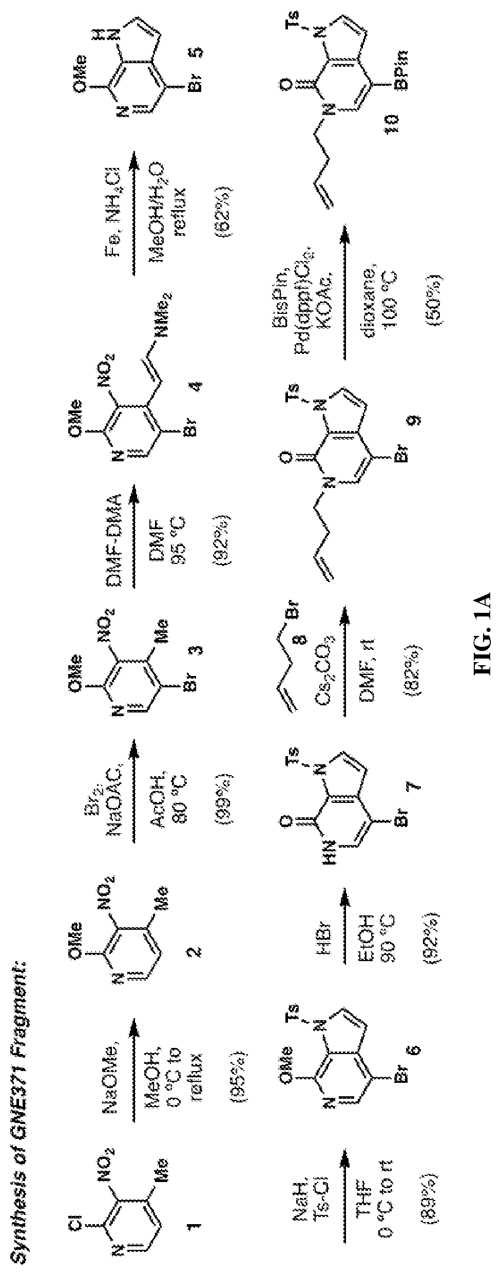 Patent US12617787 Figure 1 – Merged scaffold TAF1 inhibitors