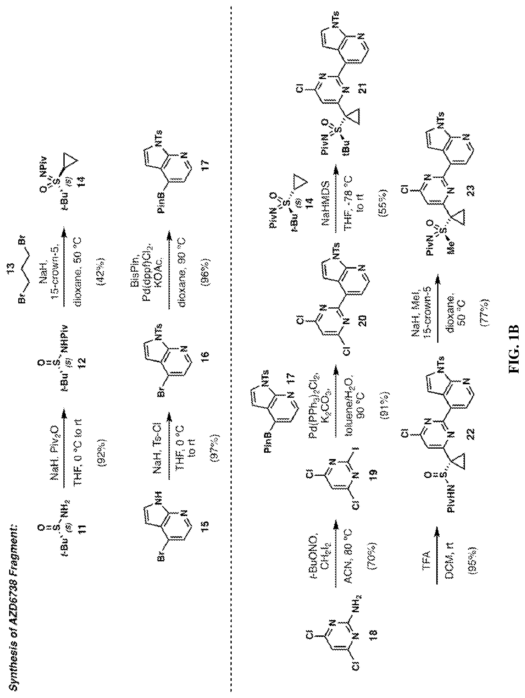 Patent US12617787 Figure 2 – Merged scaffold TAF1 inhibitors