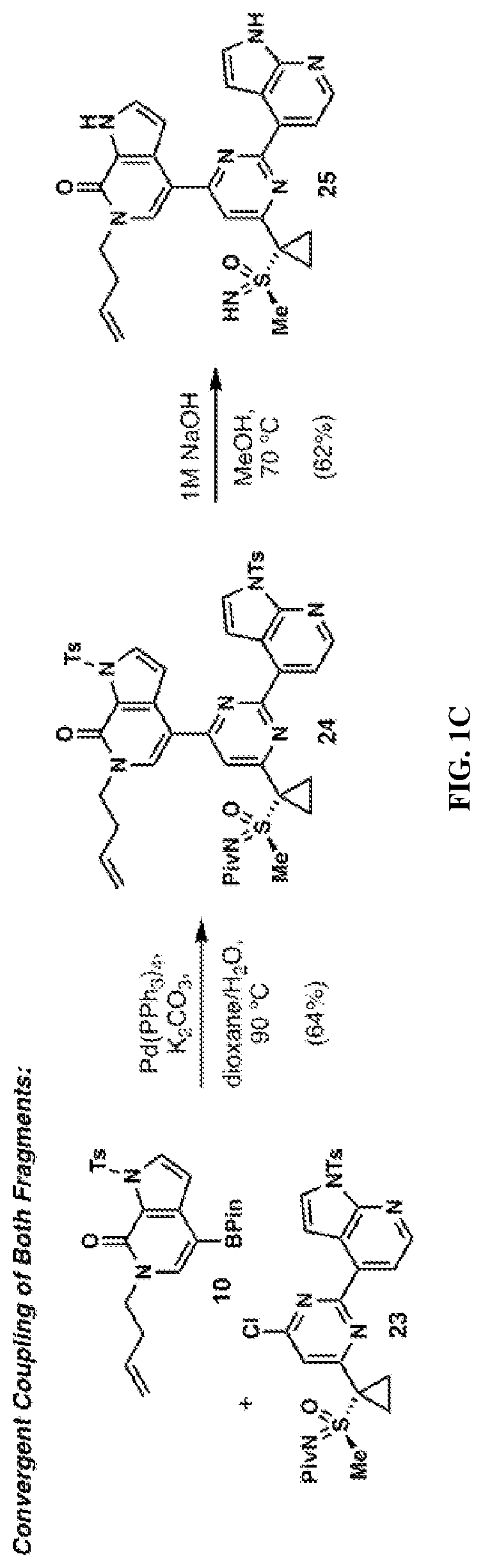 Patent US12617787 Figure 3 – Merged scaffold TAF1 inhibitors