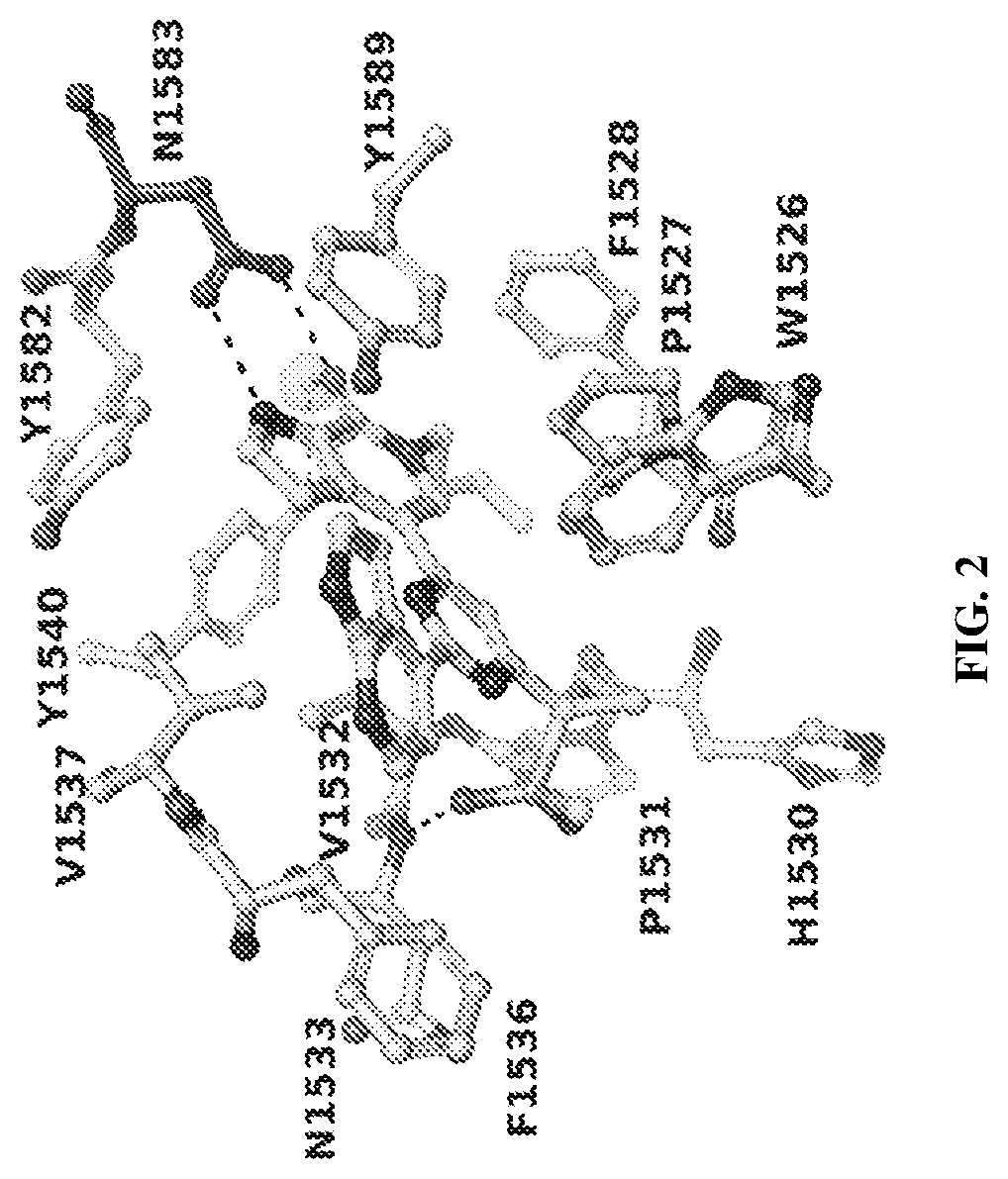 Patent US12617787 Figure 4 – Merged scaffold TAF1 inhibitors