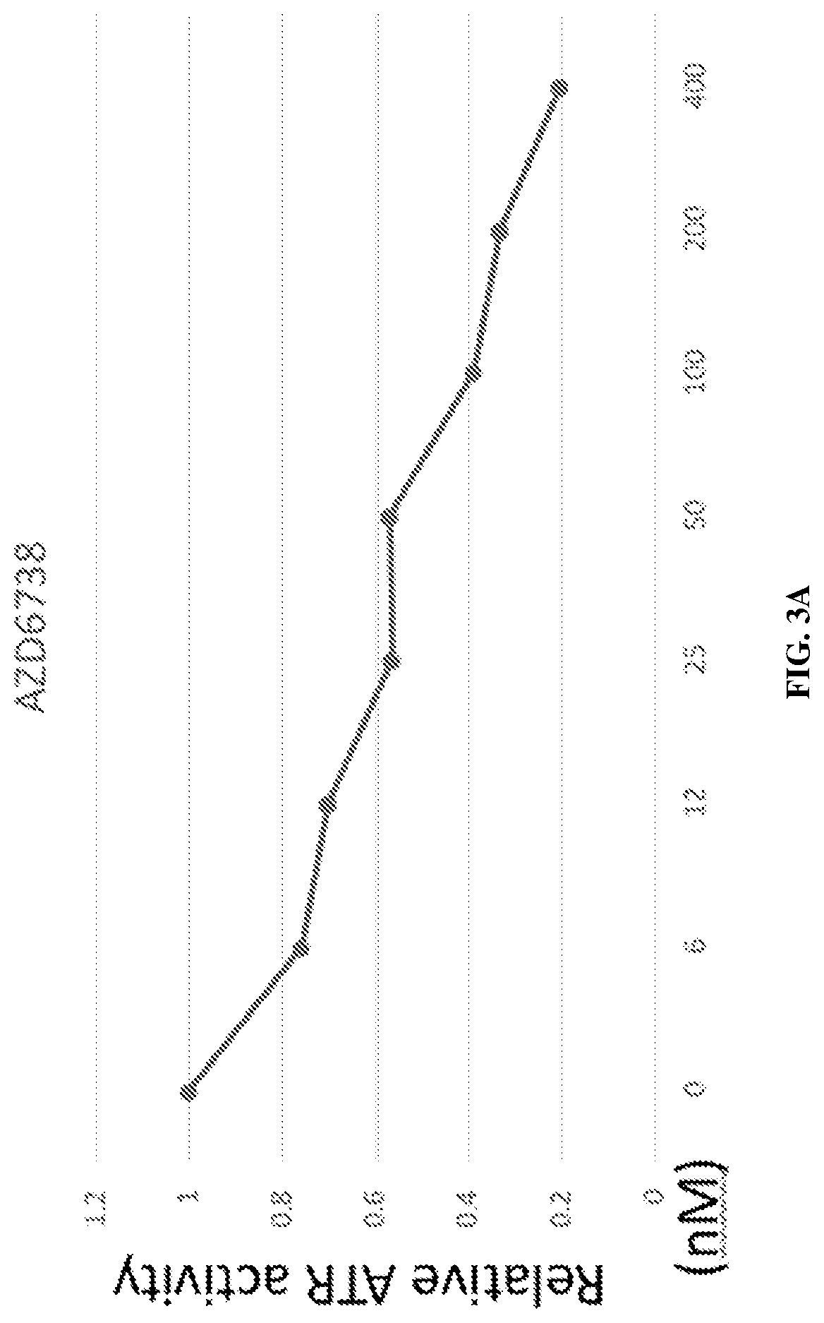 Patent US12617787 Figure 5 – Merged scaffold TAF1 inhibitors