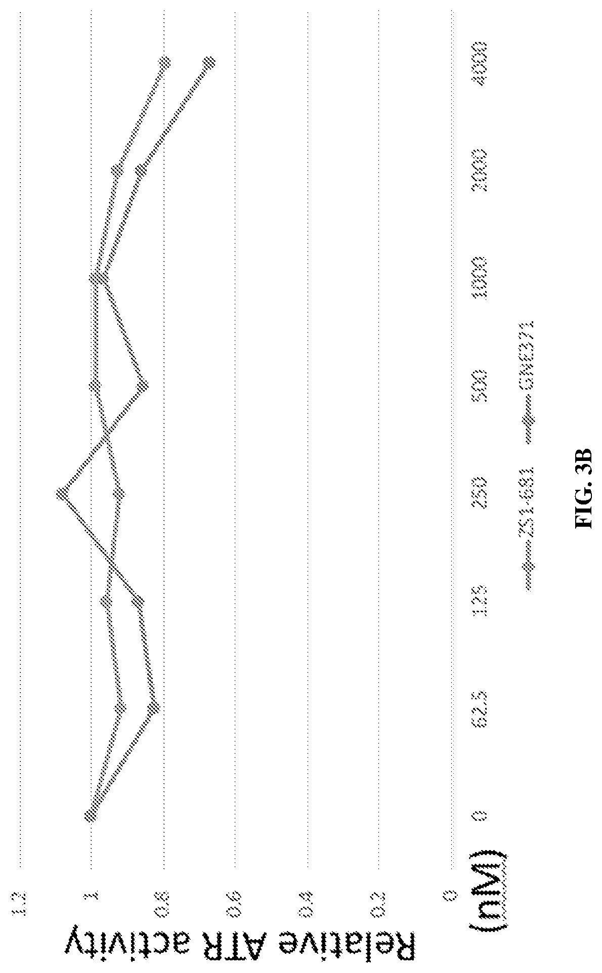 Patent US12617787 Figure 6 – Merged scaffold TAF1 inhibitors