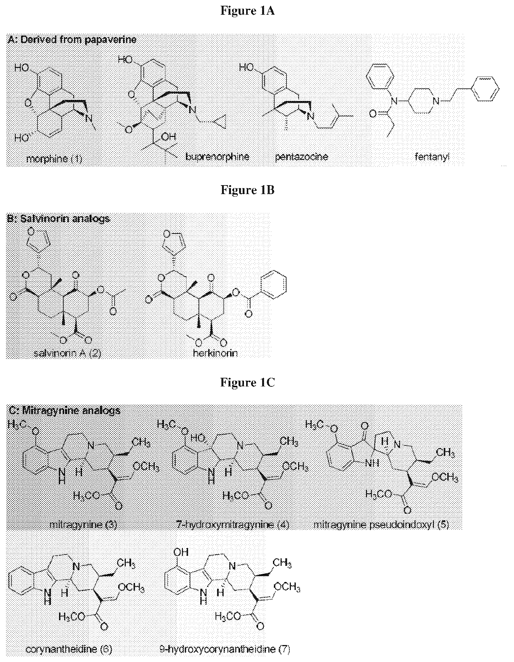 Patent US12617790 Figure 1 – Mitragynine analogs and uses thereof