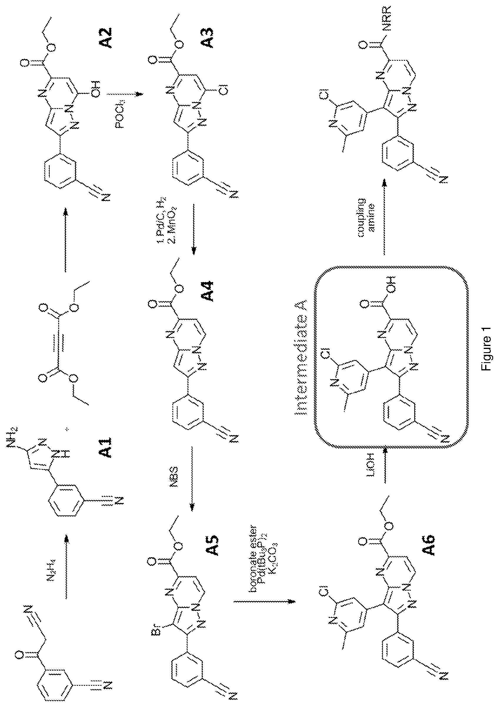 Patent US12617796 Figure 1 – Antagonists of the adenosine A2a receptor