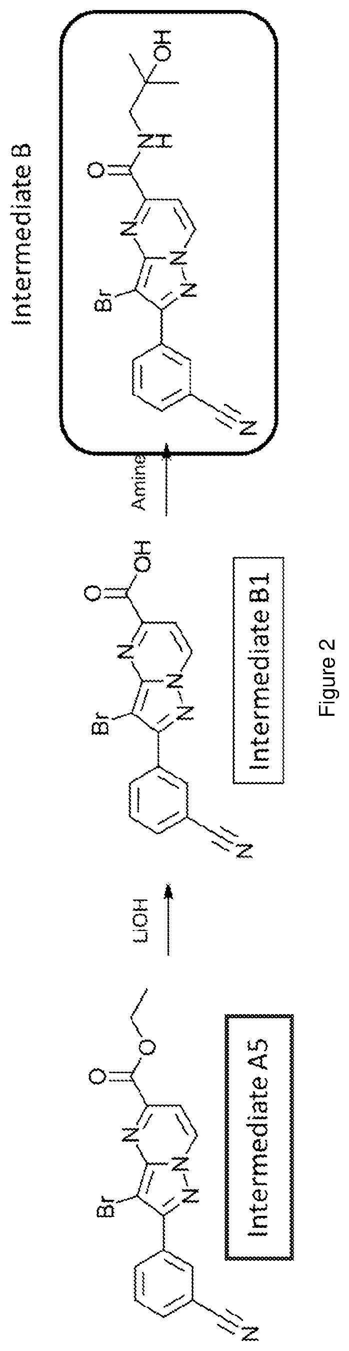 Patent US12617796 Figure 2 – Antagonists of the adenosine A2a receptor