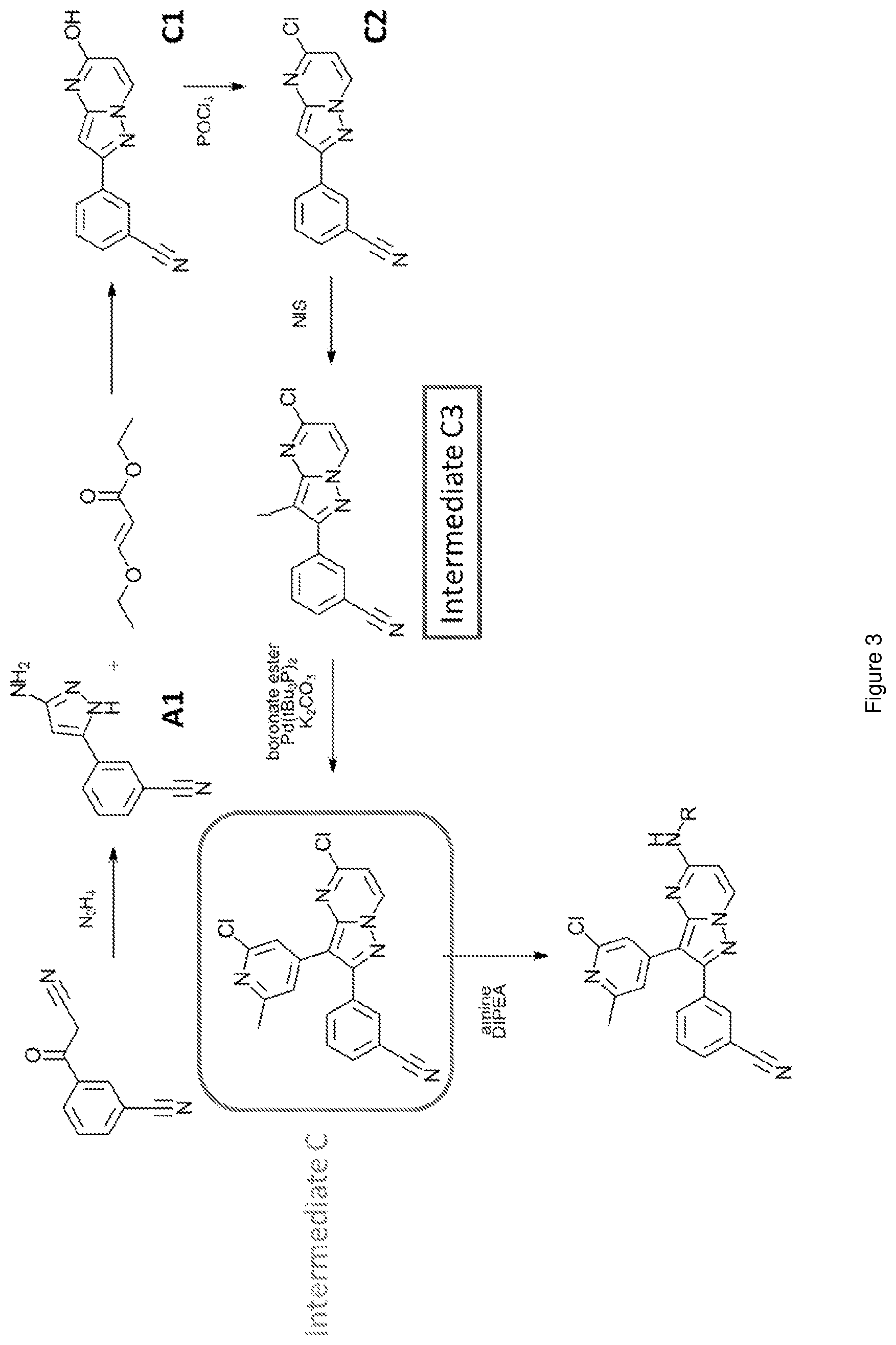 Patent US12617796 Figure 3 – Antagonists of the adenosine A2a receptor