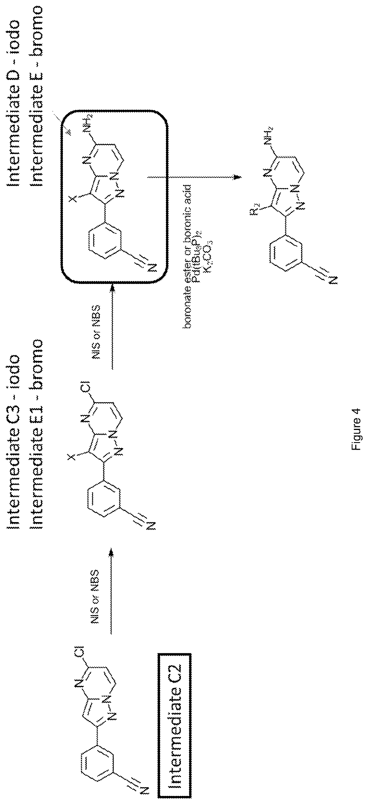 Patent US12617796 Figure 4 – Antagonists of the adenosine A2a receptor