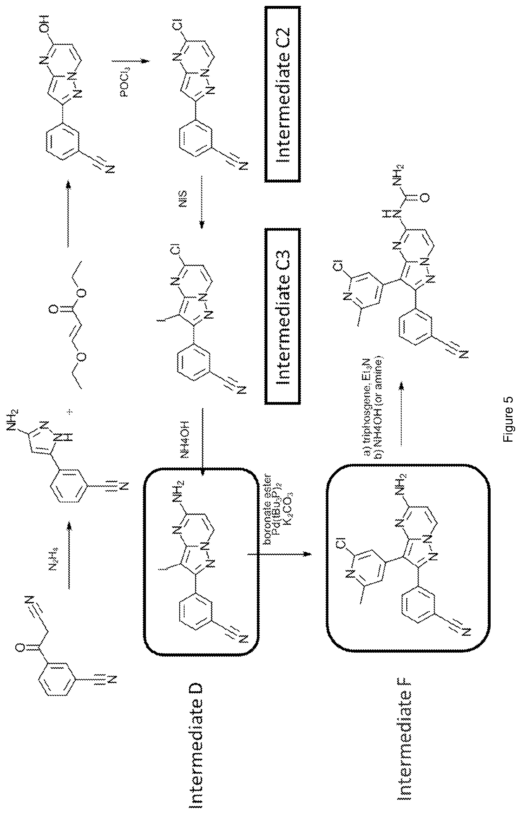 Patent US12617796 Figure 5 – Antagonists of the adenosine A2a receptor