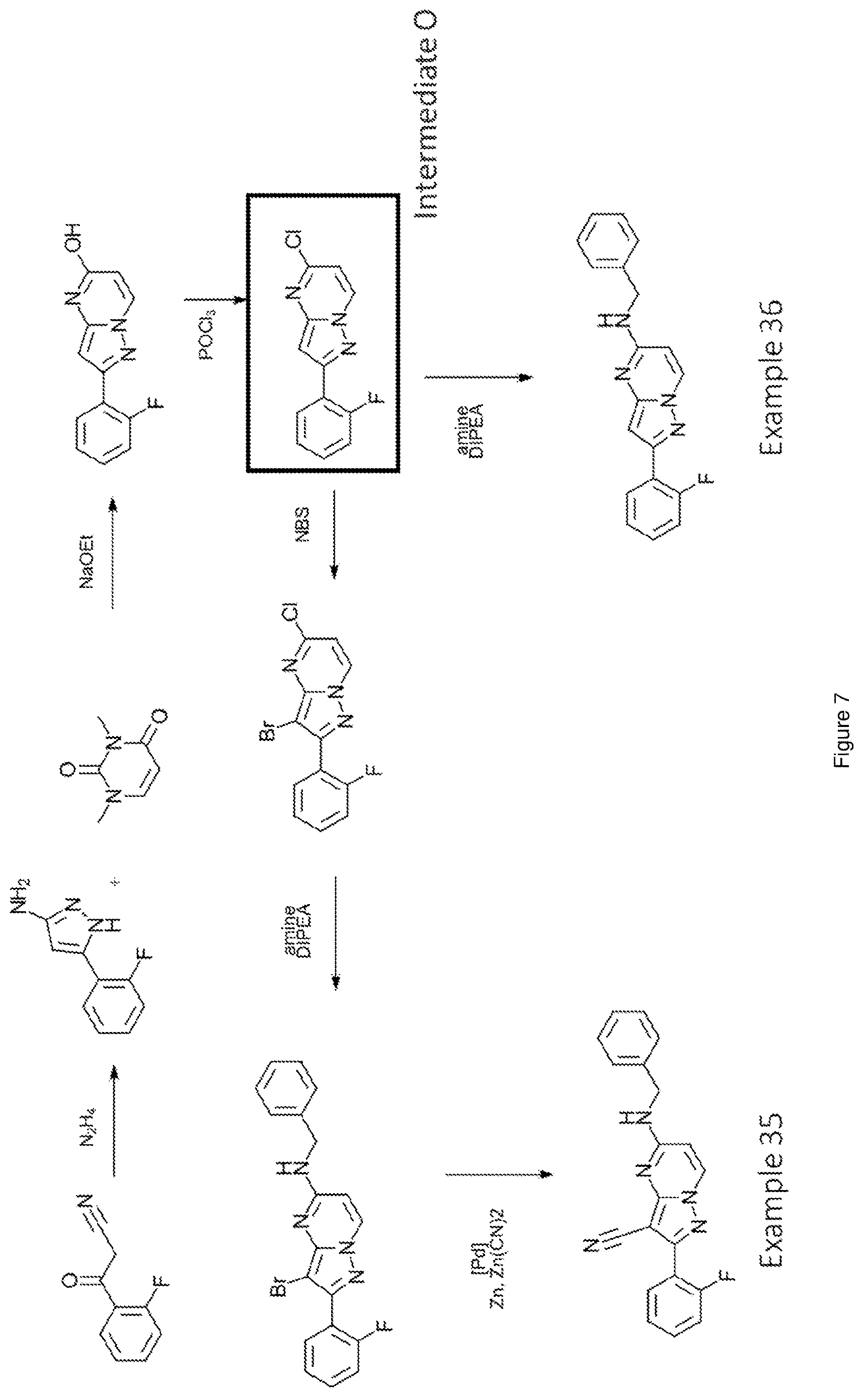 Patent US12617796 Figure 7 – Antagonists of the adenosine A2a receptor