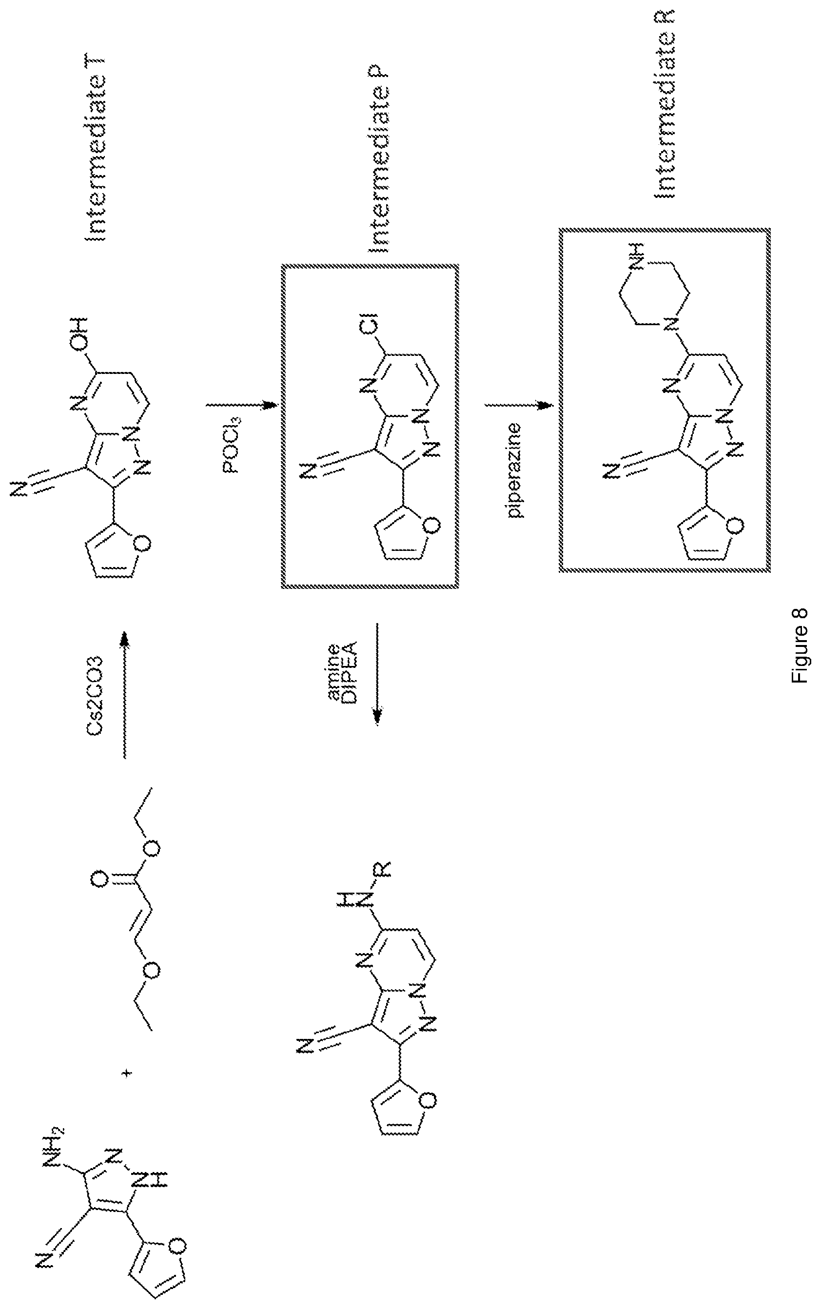 Patent US12617796 Figure 8 – Antagonists of the adenosine A2a receptor