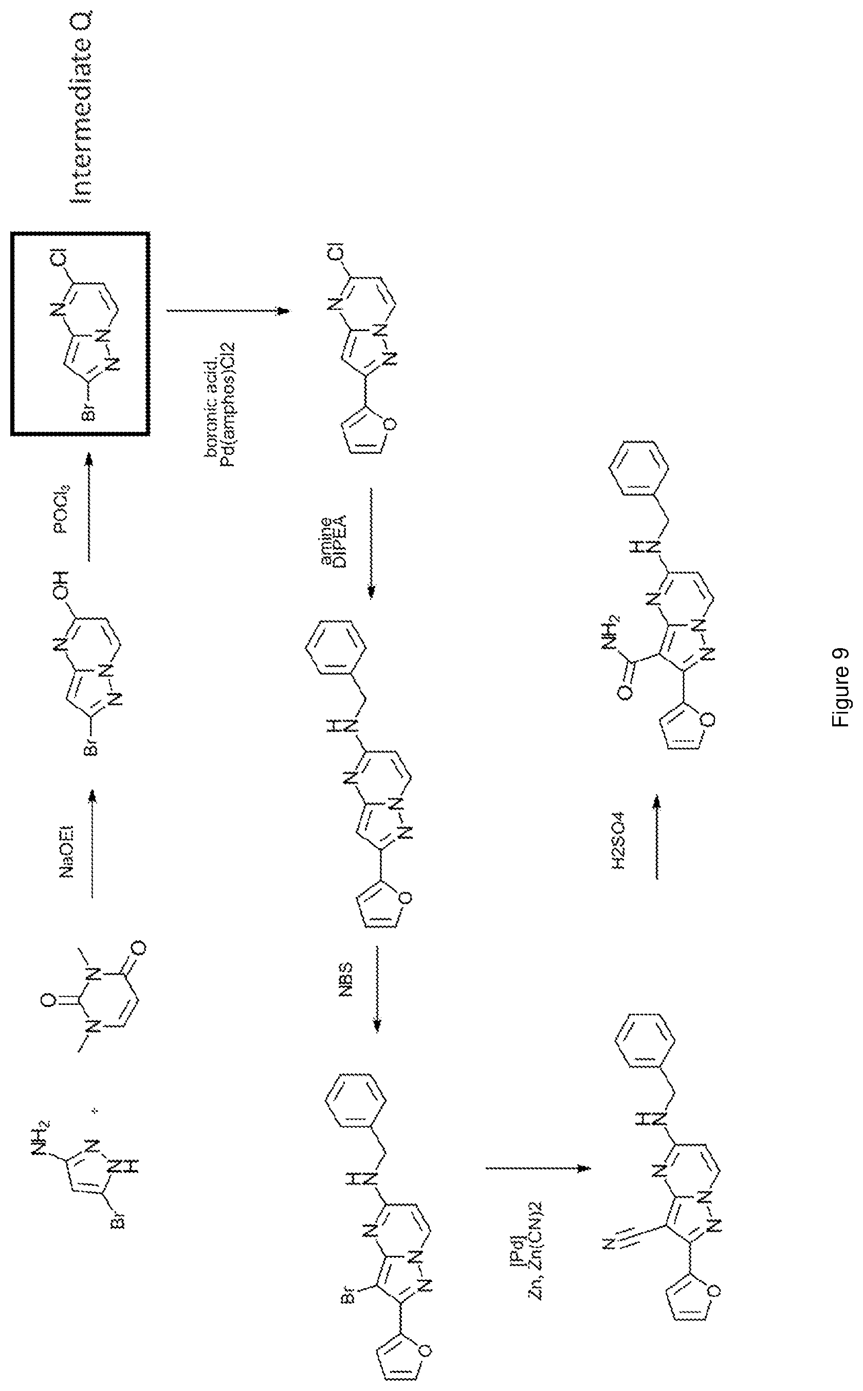 Patent US12617796 Figure 9 – Antagonists of the adenosine A2a receptor