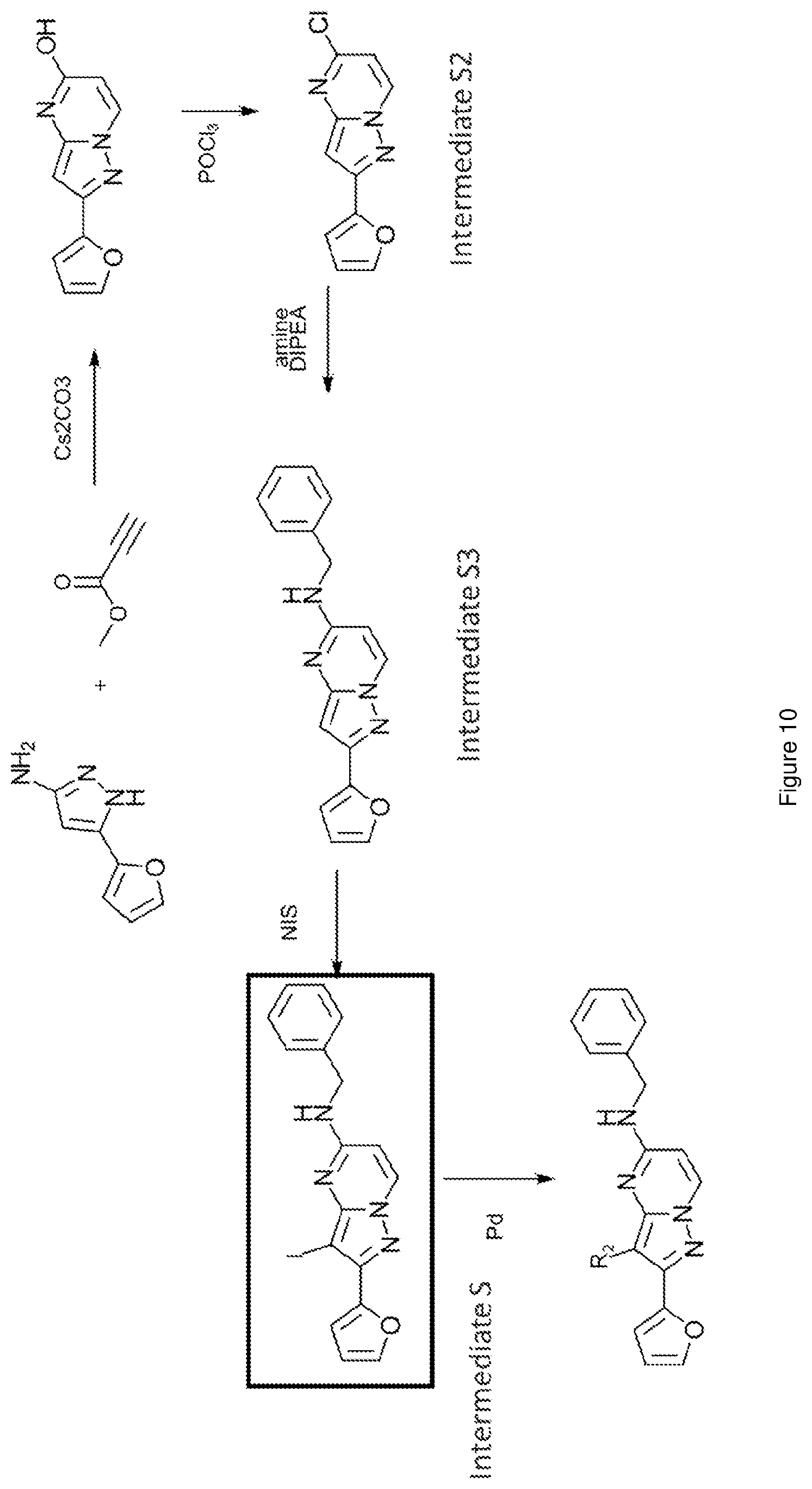 Patent US12617796 Figure 10 – Antagonists of the adenosine A2a receptor