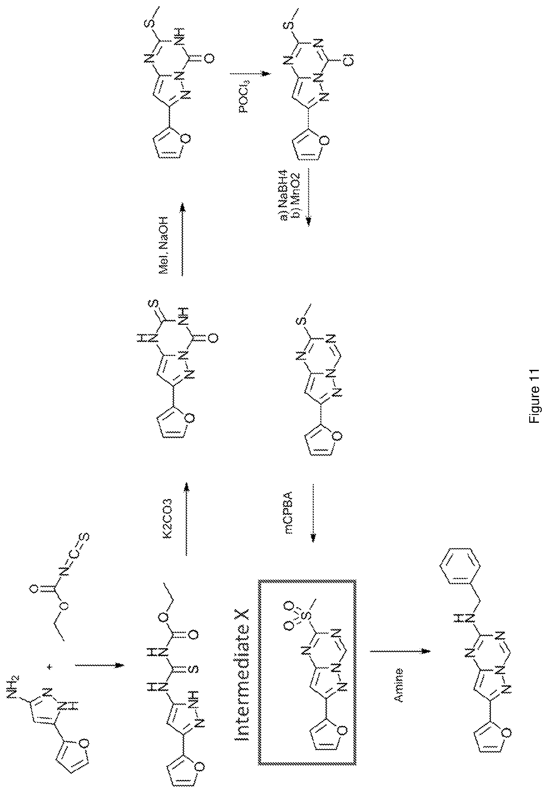 Patent US12617796 Figure 11 – Antagonists of the adenosine A2a receptor