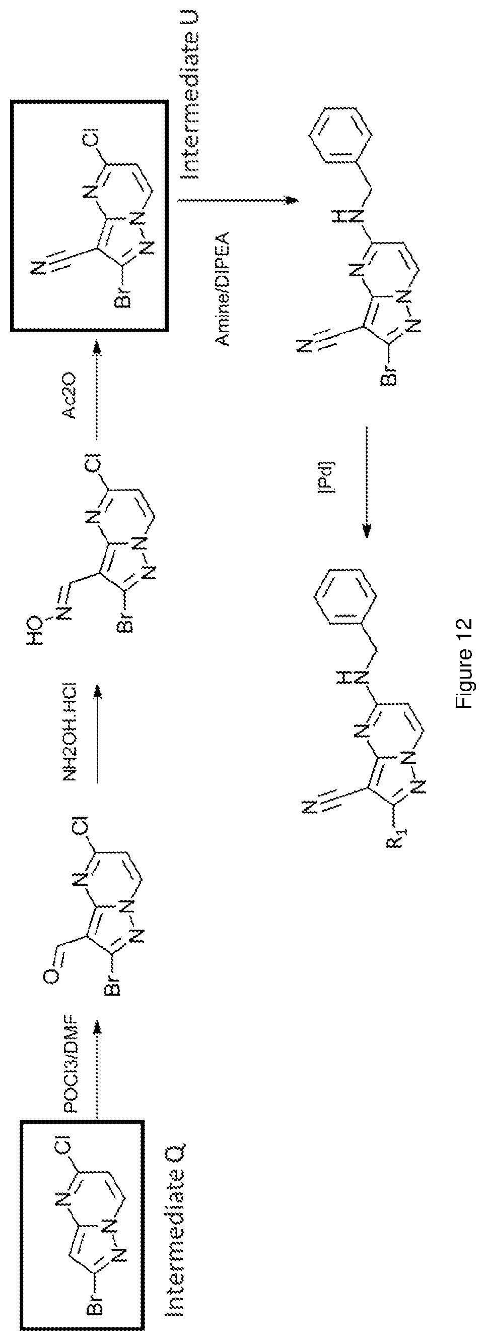 Patent US12617796 Figure 12 – Antagonists of the adenosine A2a receptor