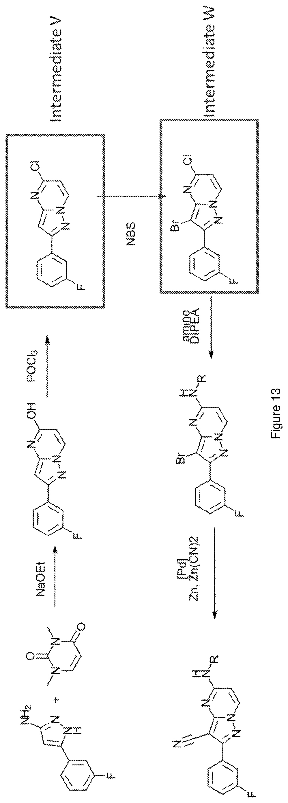 Patent US12617796 Figure 13 – Antagonists of the adenosine A2a receptor