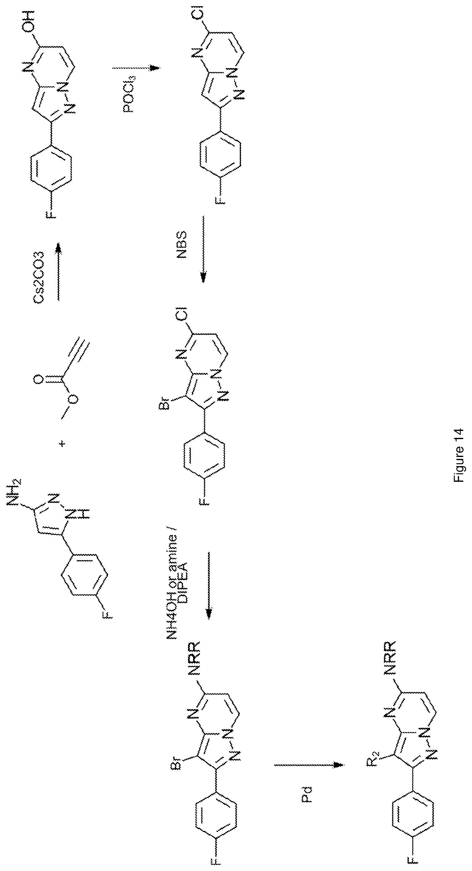 Patent US12617796 Figure 14 – Antagonists of the adenosine A2a receptor