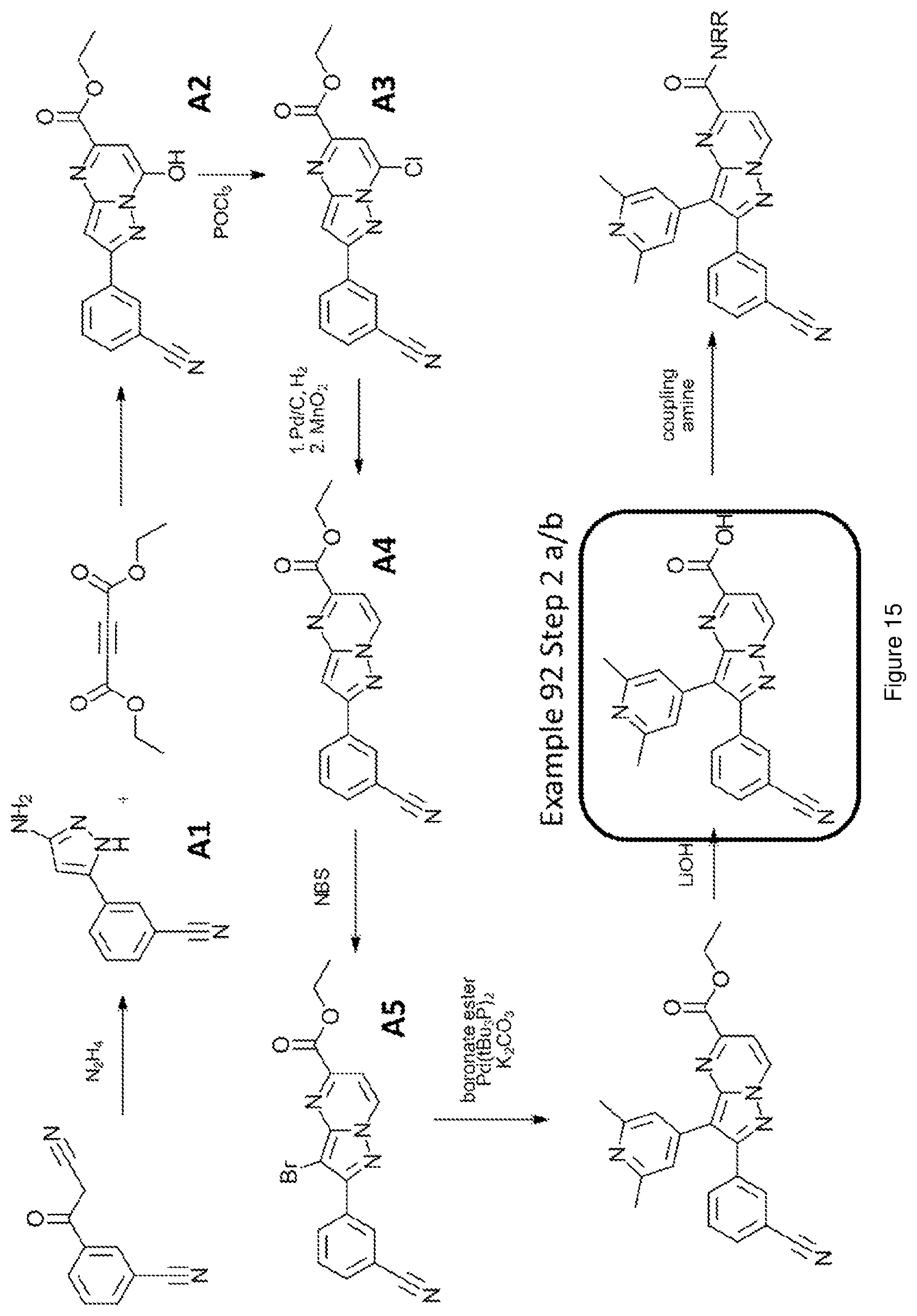 Patent US12617796 Figure 15 – Antagonists of the adenosine A2a receptor