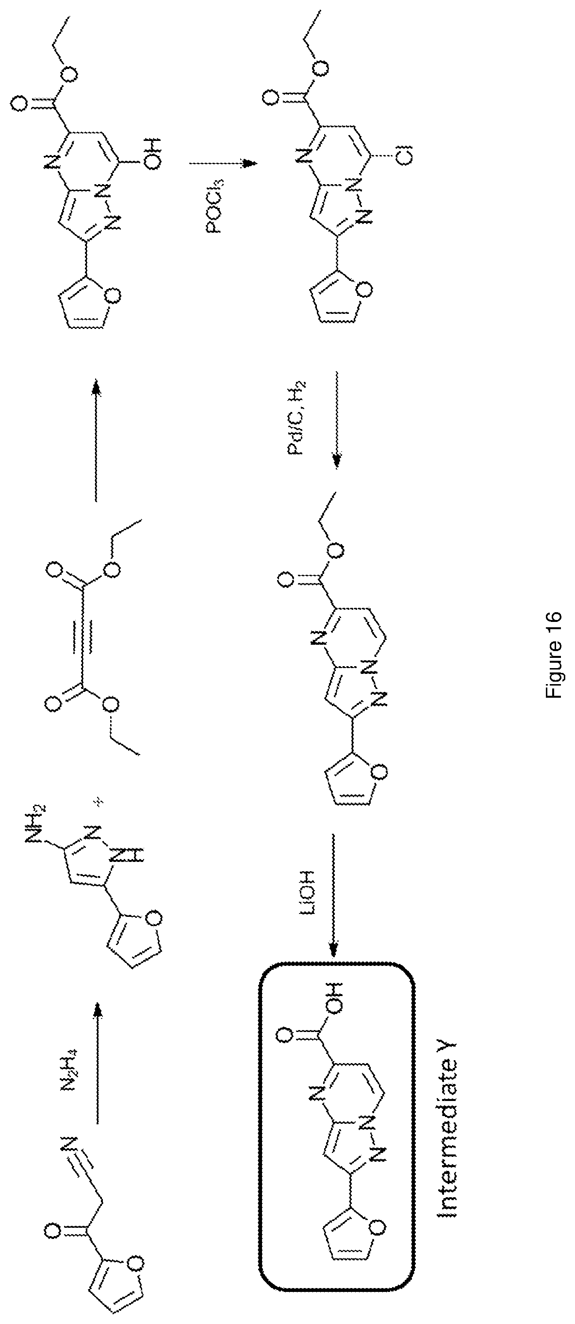Patent US12617796 Figure 16 – Antagonists of the adenosine A2a receptor