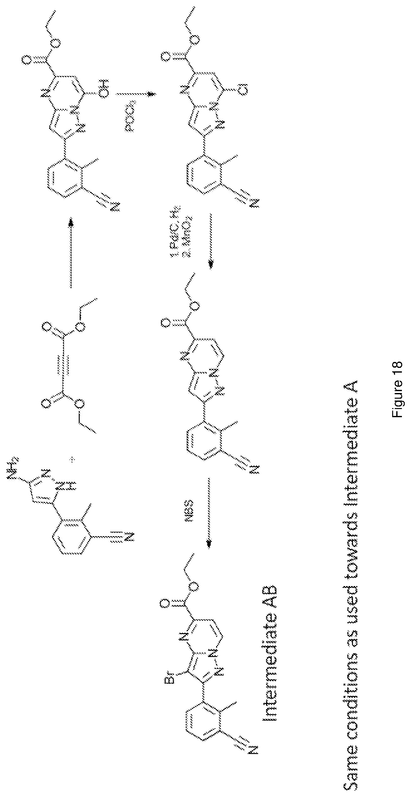 Patent US12617796 Figure 18 – Antagonists of the adenosine A2a receptor