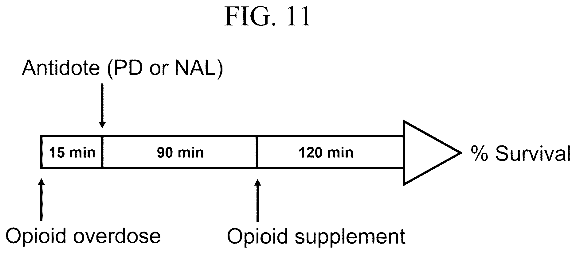 Patent US12617807 Figure 11 – Long lasting opioid reversal using hydrogen peroxide-induced release in blood