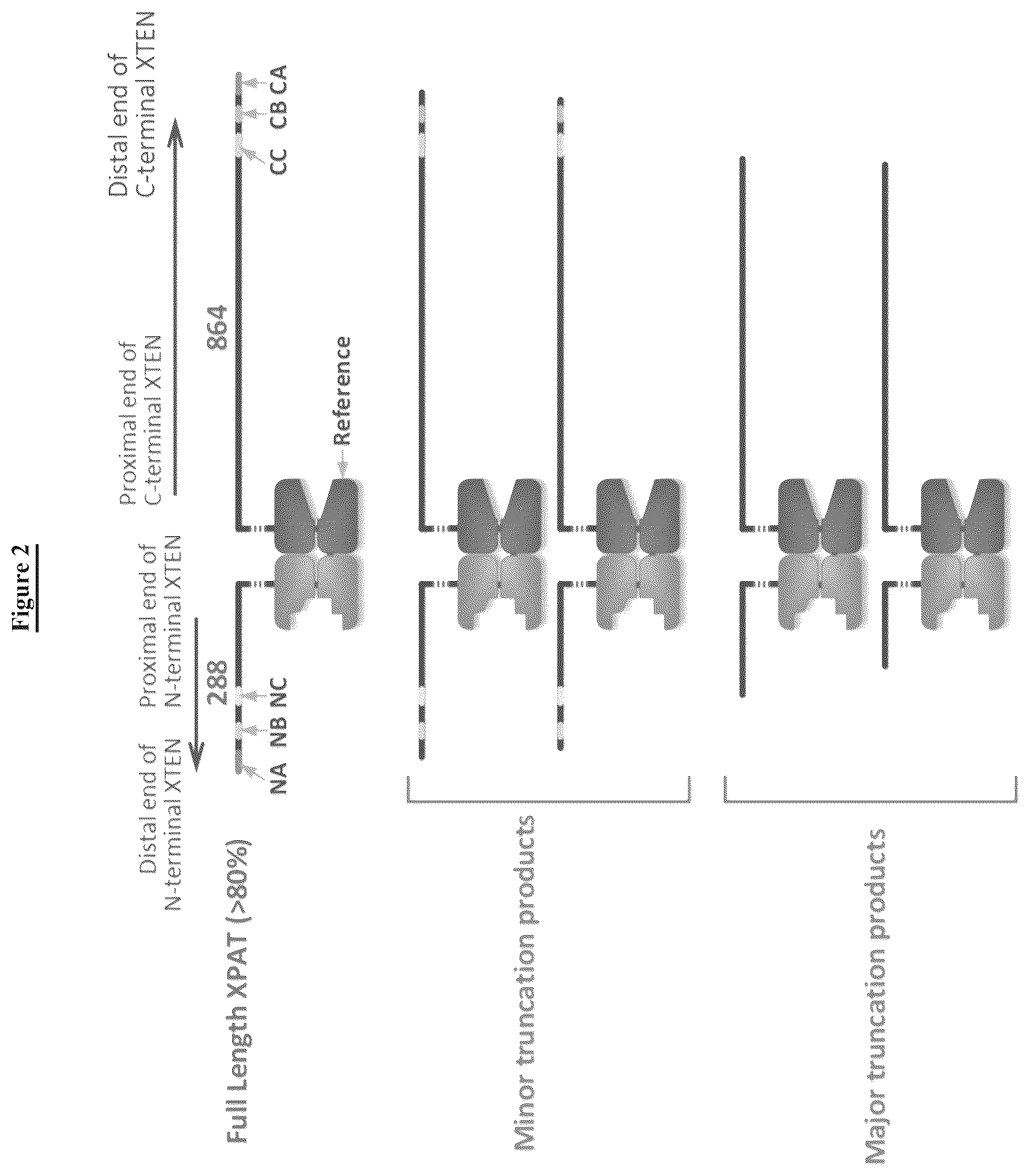 Patent US12617815 Figure 2 – Barcoded XTEN polypeptides and compositions thereof, and methods for making and using the same