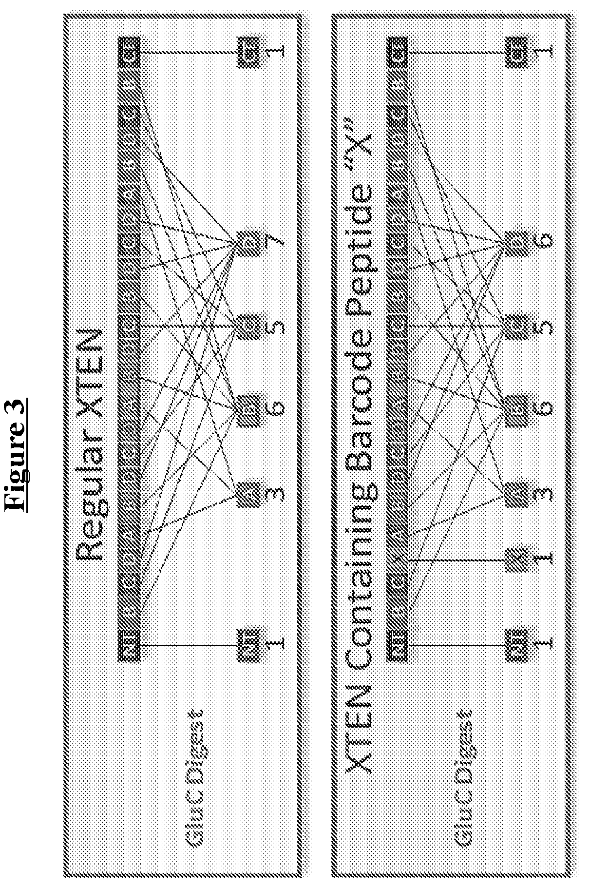 Patent US12617815 Figure 3 – Barcoded XTEN polypeptides and compositions thereof, and methods for making and using the same