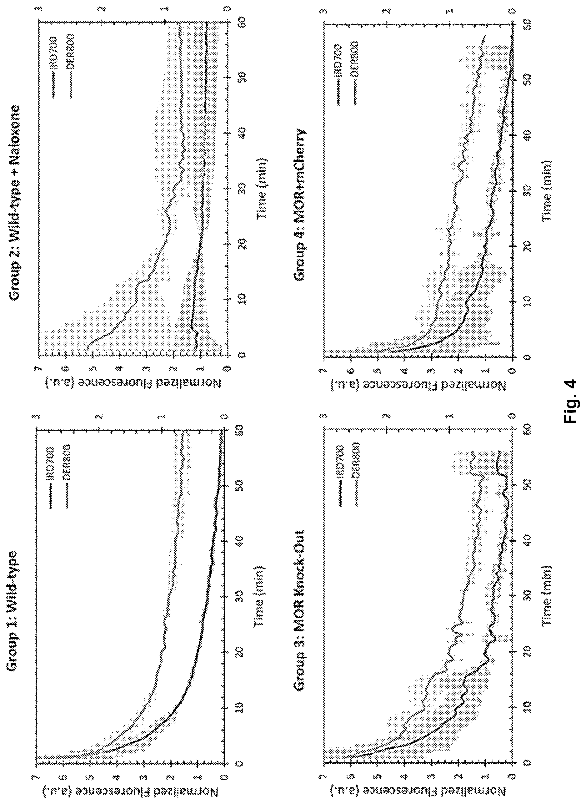 Patent US12617816 Figure 4 – Composition and method for in vivo assay of opioid receptors