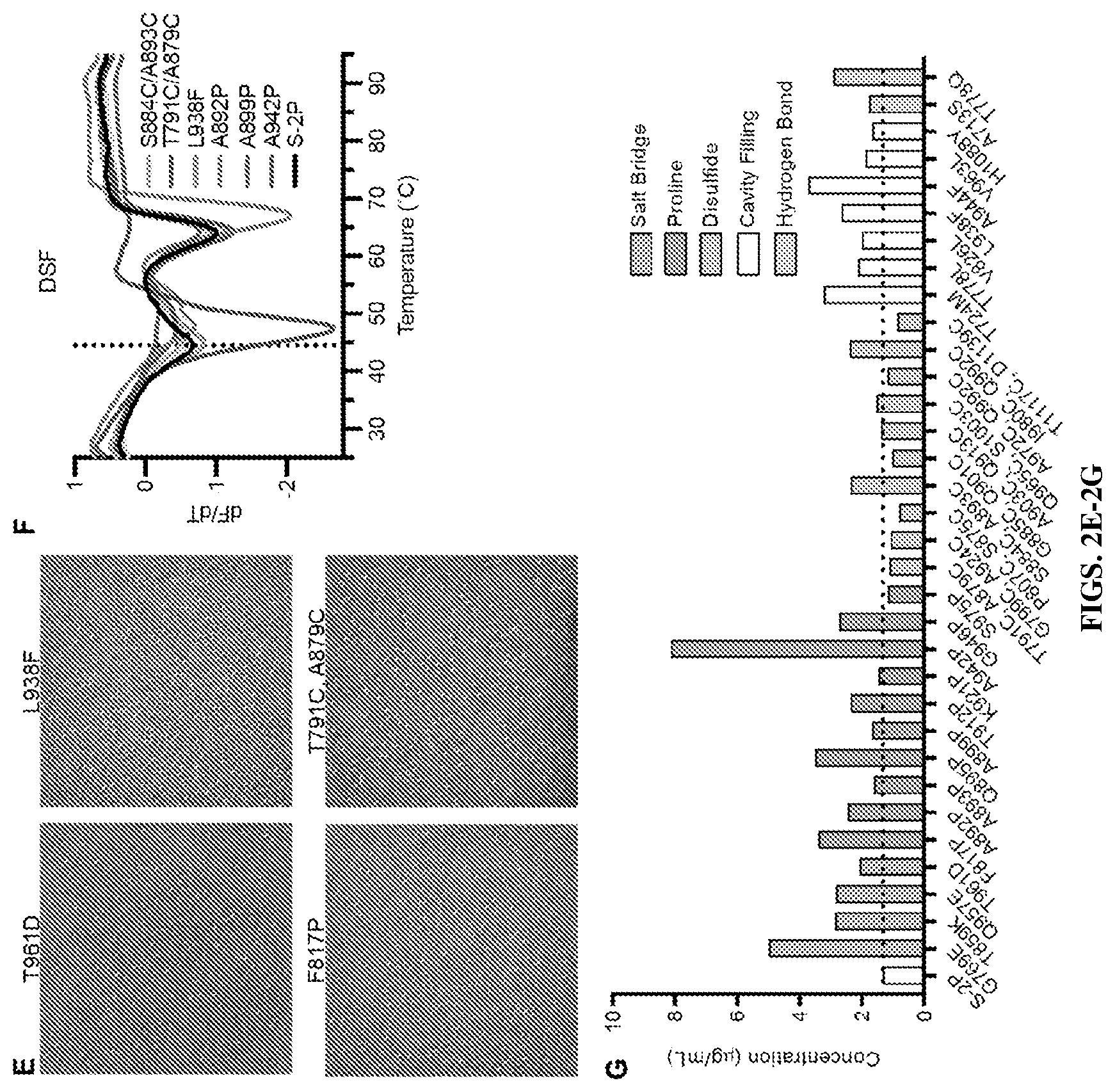 Patent US12617820 Figure 3 – Engineered coronavirus spike (s) protein and methods of use thereof