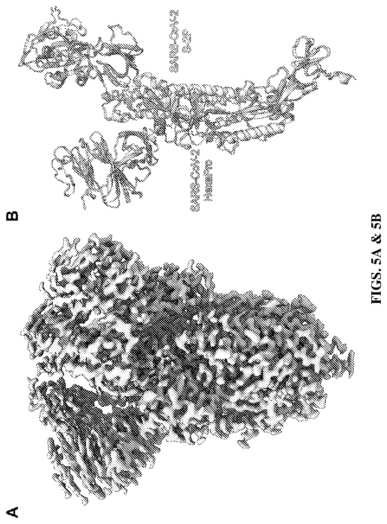 Patent US12617820 Figure 7 – Engineered coronavirus spike (s) protein and methods of use thereof