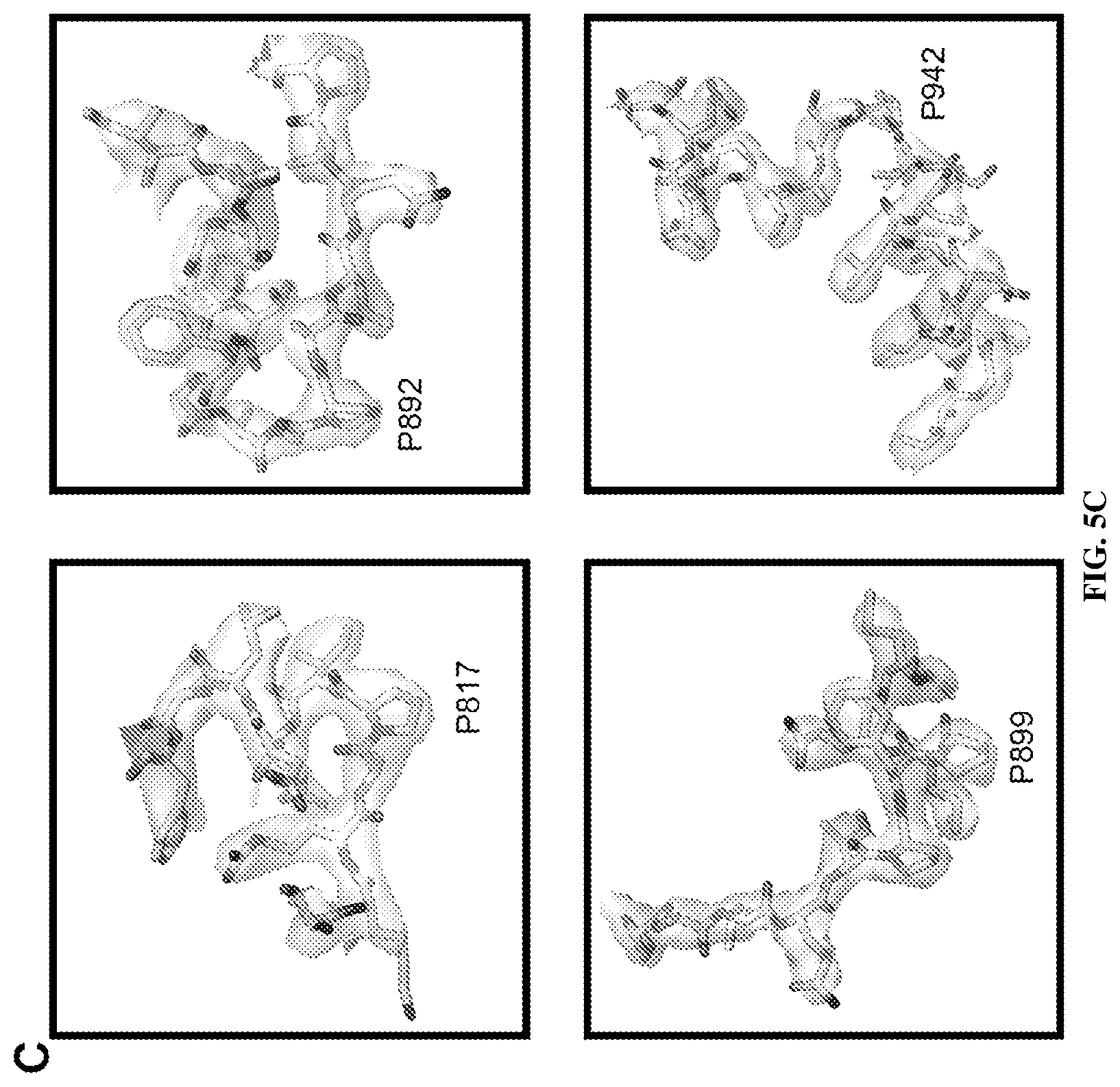 Patent US12617820 Figure 8 – Engineered coronavirus spike (s) protein and methods of use thereof