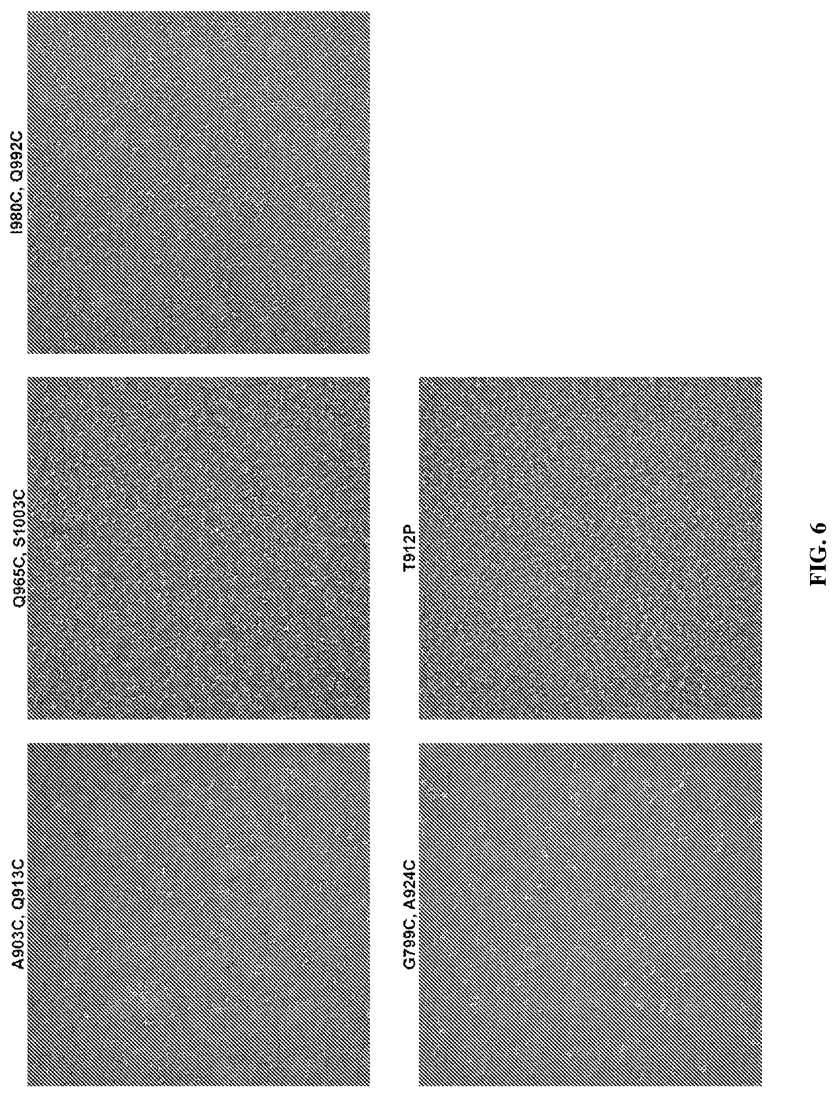 Patent US12617820 Figure 9 – Engineered coronavirus spike (s) protein and methods of use thereof