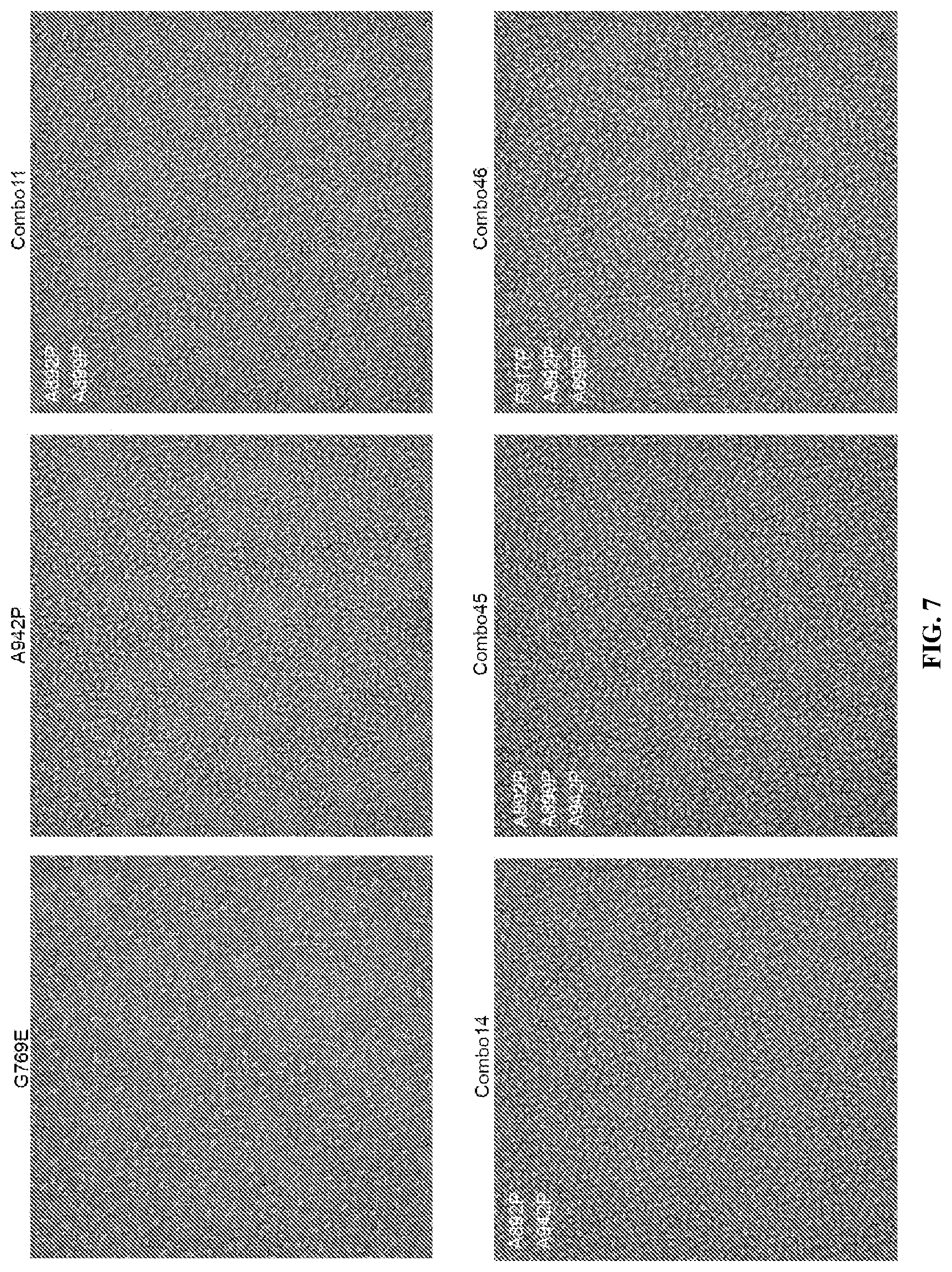 Patent US12617820 Figure 10 – Engineered coronavirus spike (s) protein and methods of use thereof