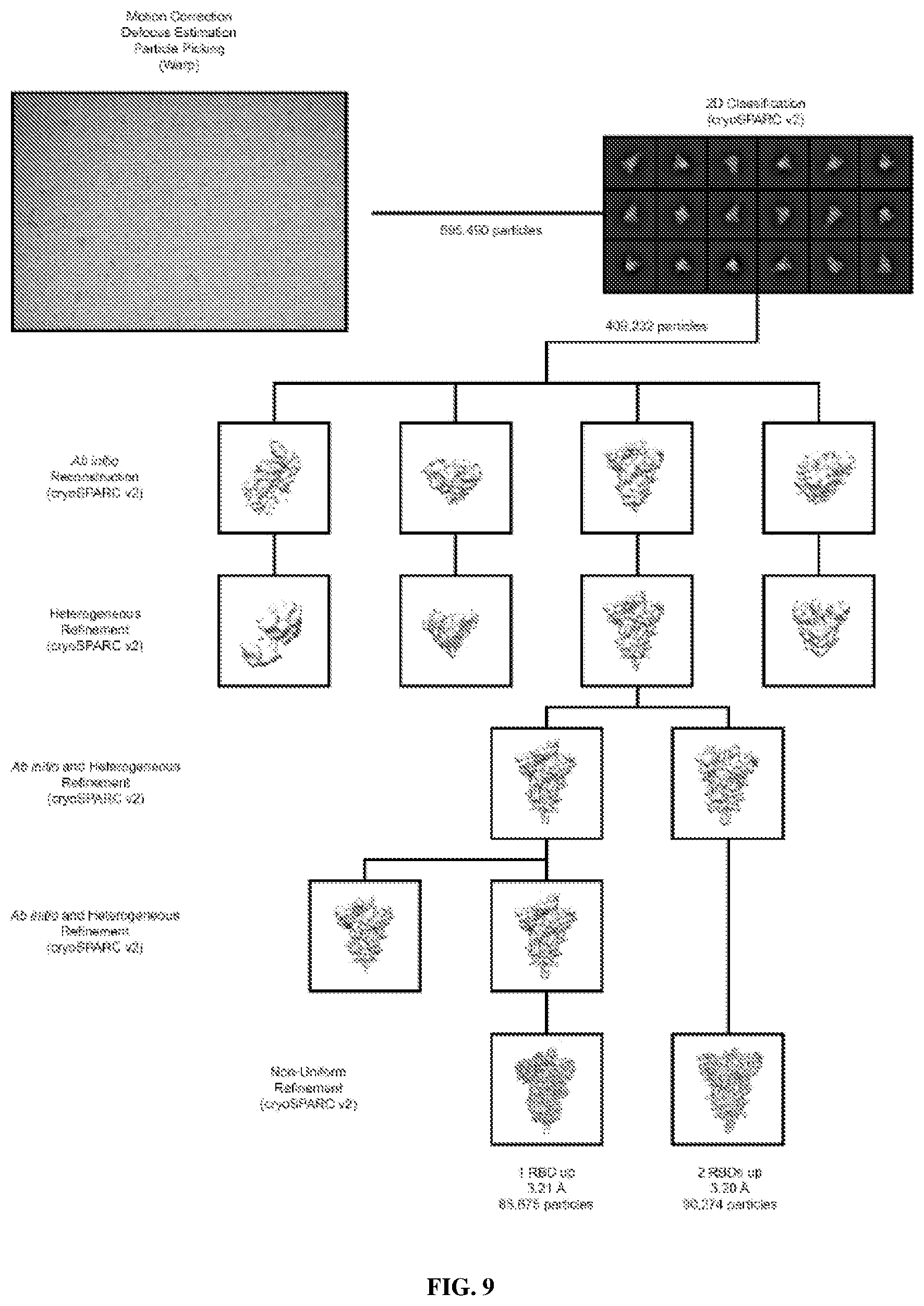 Patent US12617820 Figure 12 – Engineered coronavirus spike (s) protein and methods of use thereof