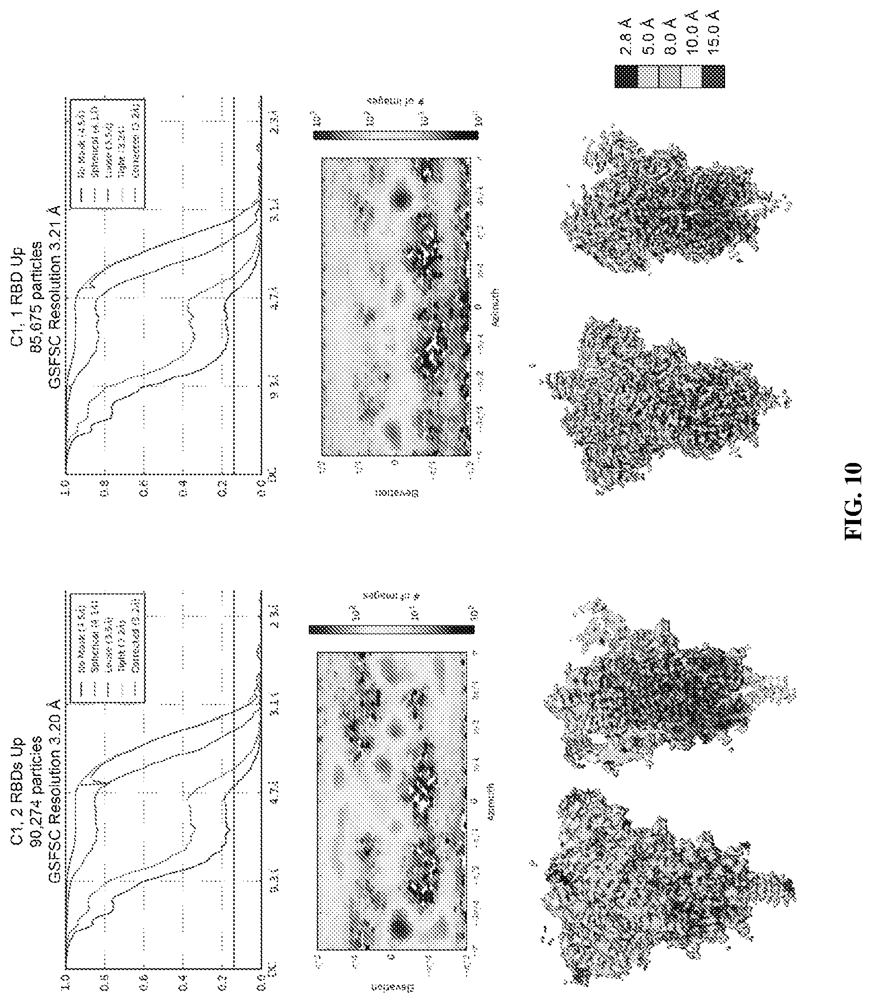 Patent US12617820 Figure 13 – Engineered coronavirus spike (s) protein and methods of use thereof