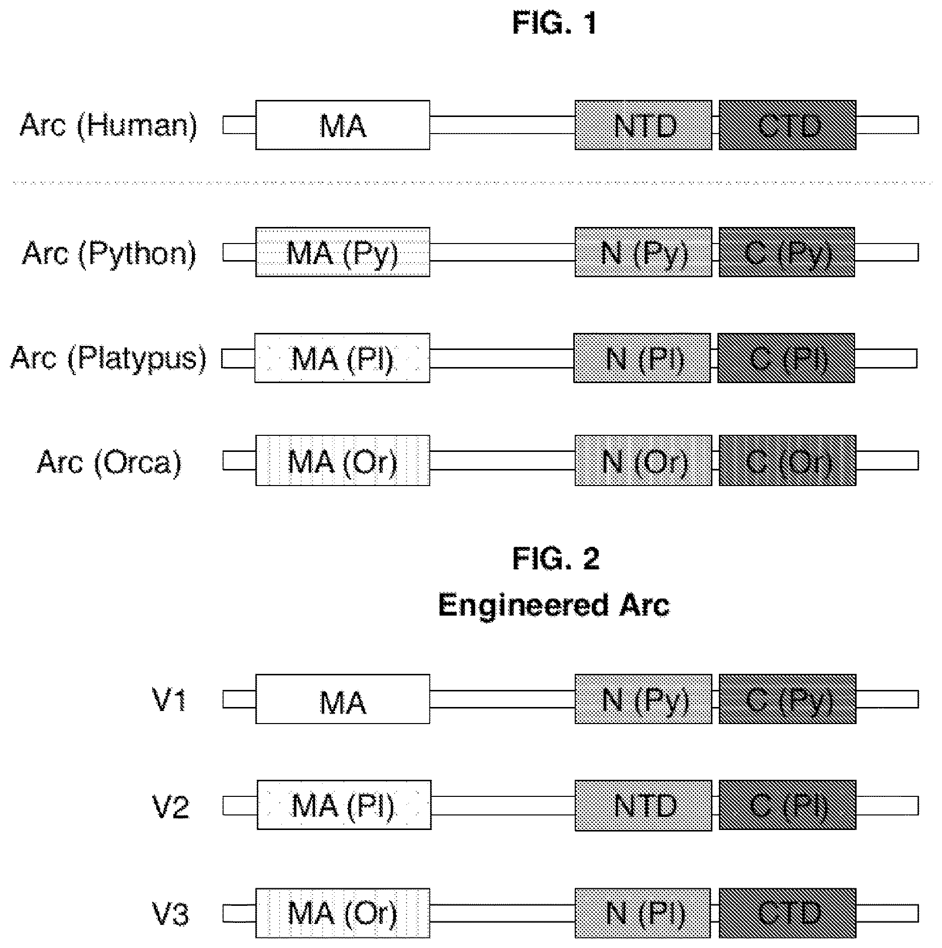 Patent US12617822 Figure 1 – Arc-based capsids and uses thereof