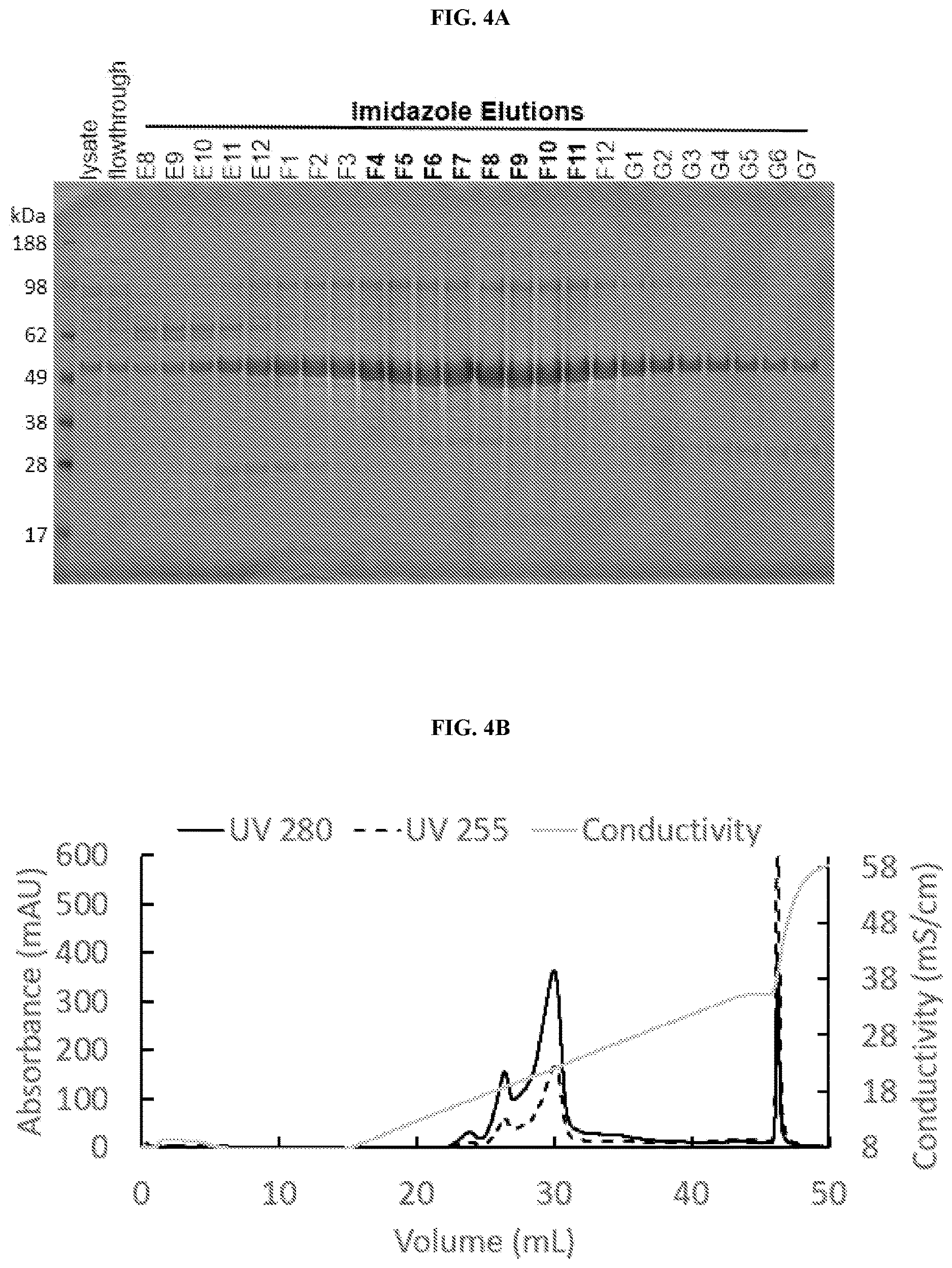 Patent US12617822 Figure 3 – Arc-based capsids and uses thereof