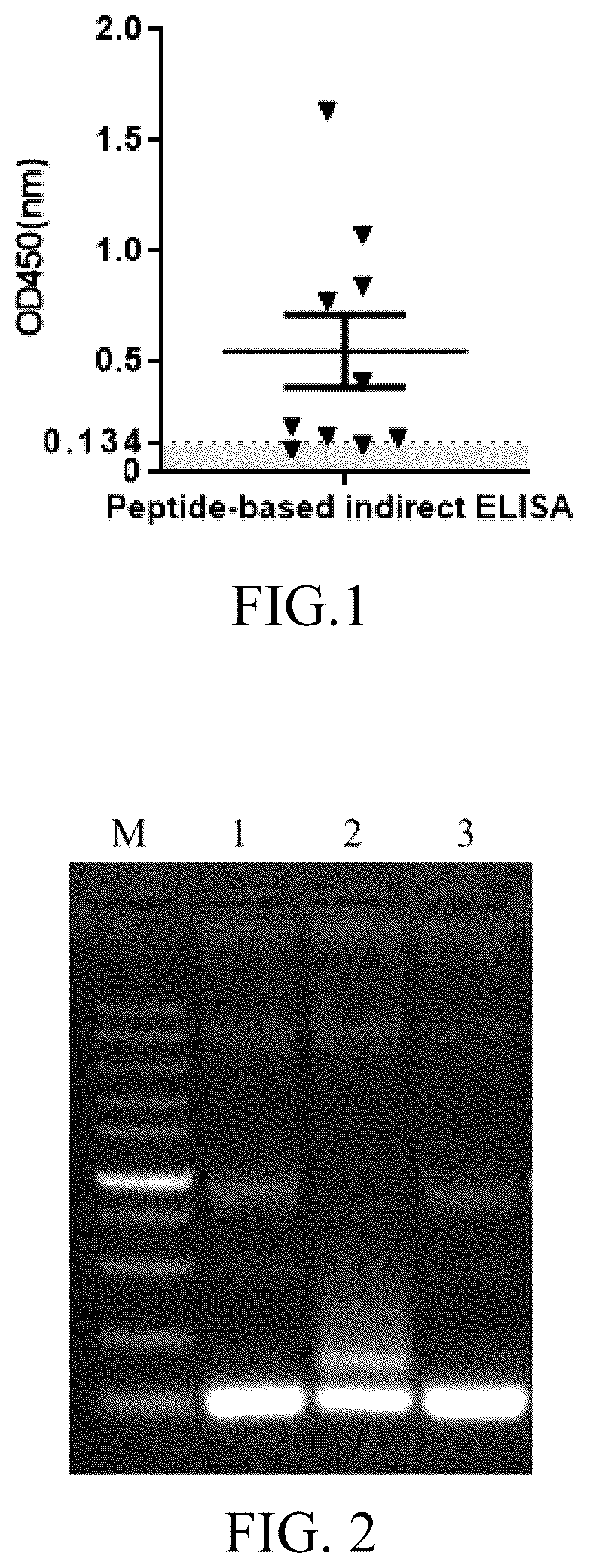 Patent US12617823 Figure 1 – Broad-spectrum peptide antigen of the novel coronavirus SARS-COV-2, specific neutralizing antibody and use thereof