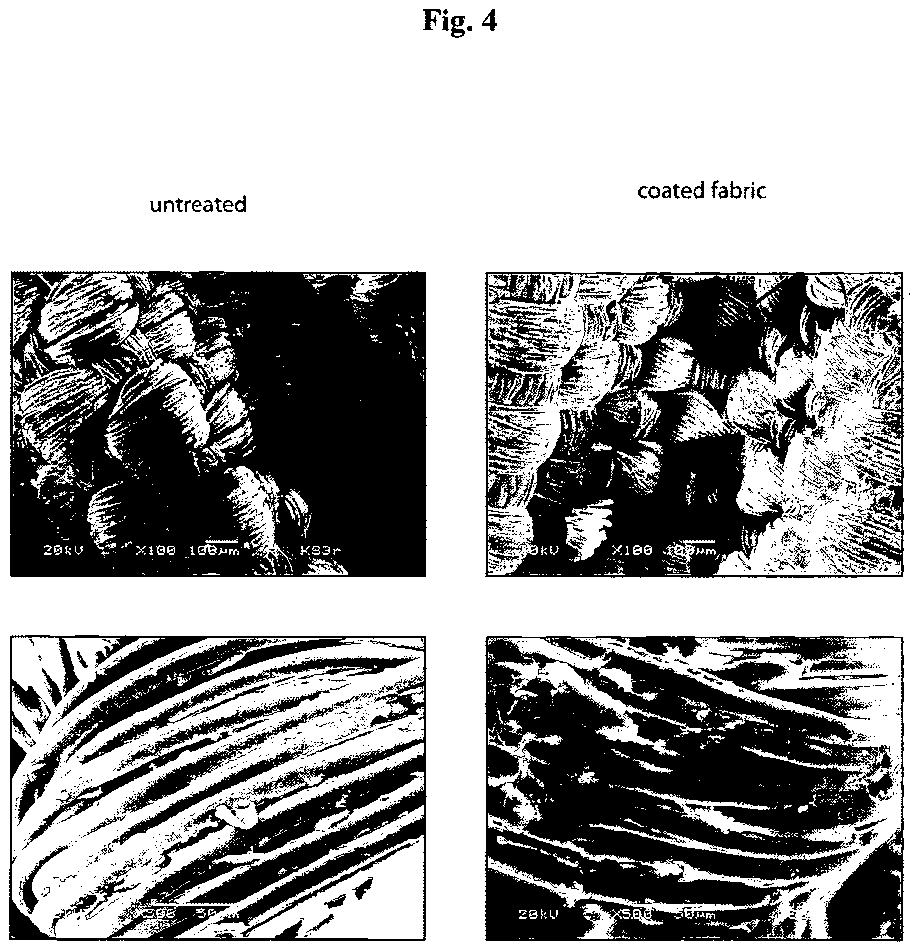 Patent US12617824 Figure 4 – Silk protein coatings
