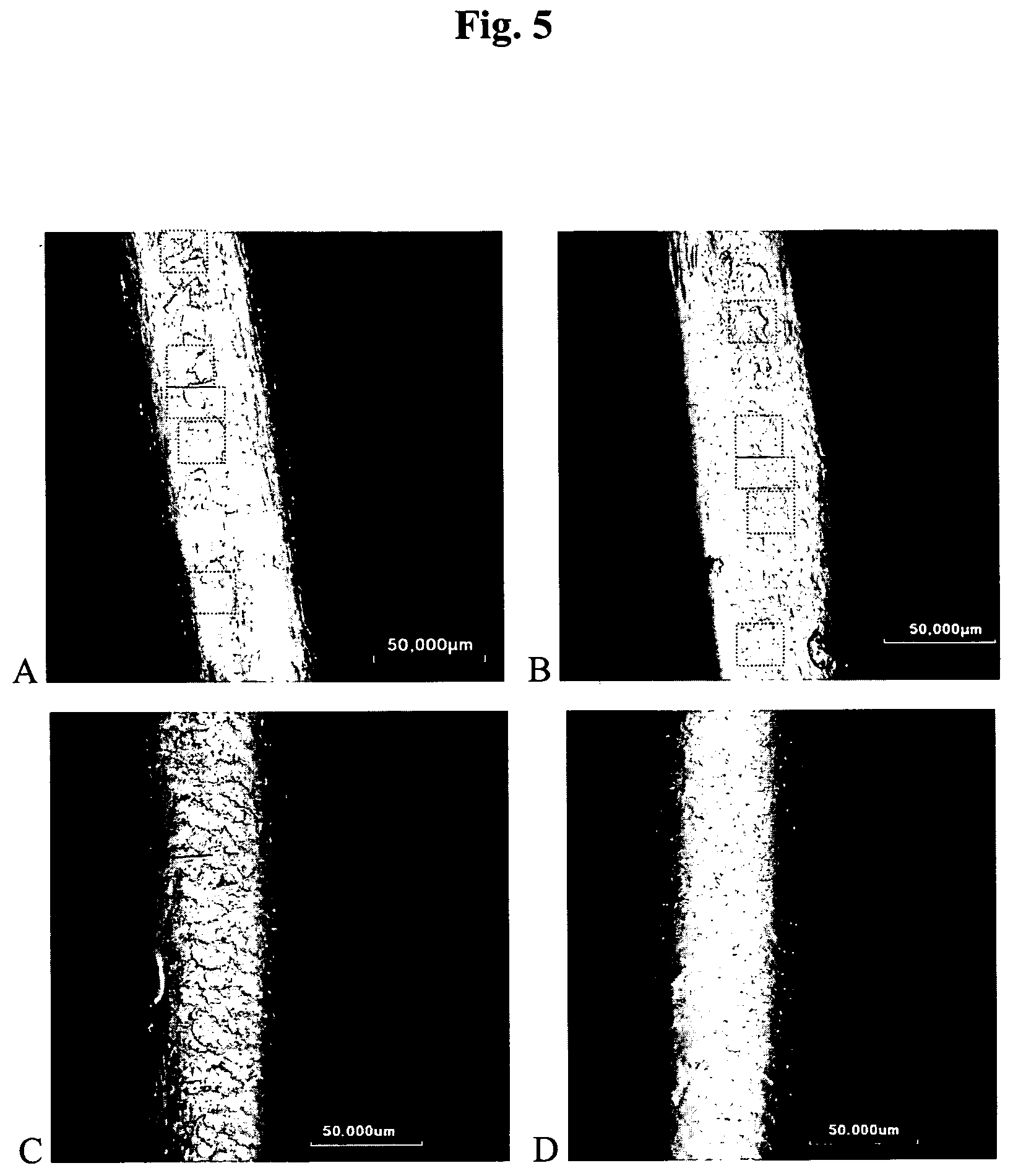 Patent US12617824 Figure 5 – Silk protein coatings