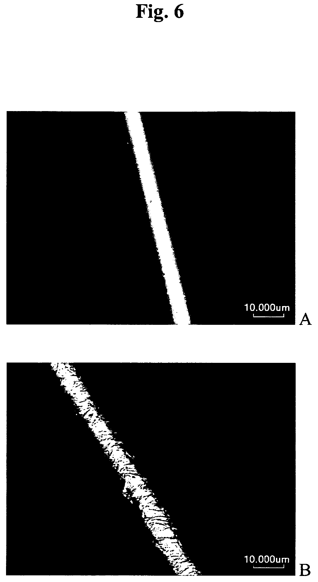 Patent US12617824 Figure 6 – Silk protein coatings
