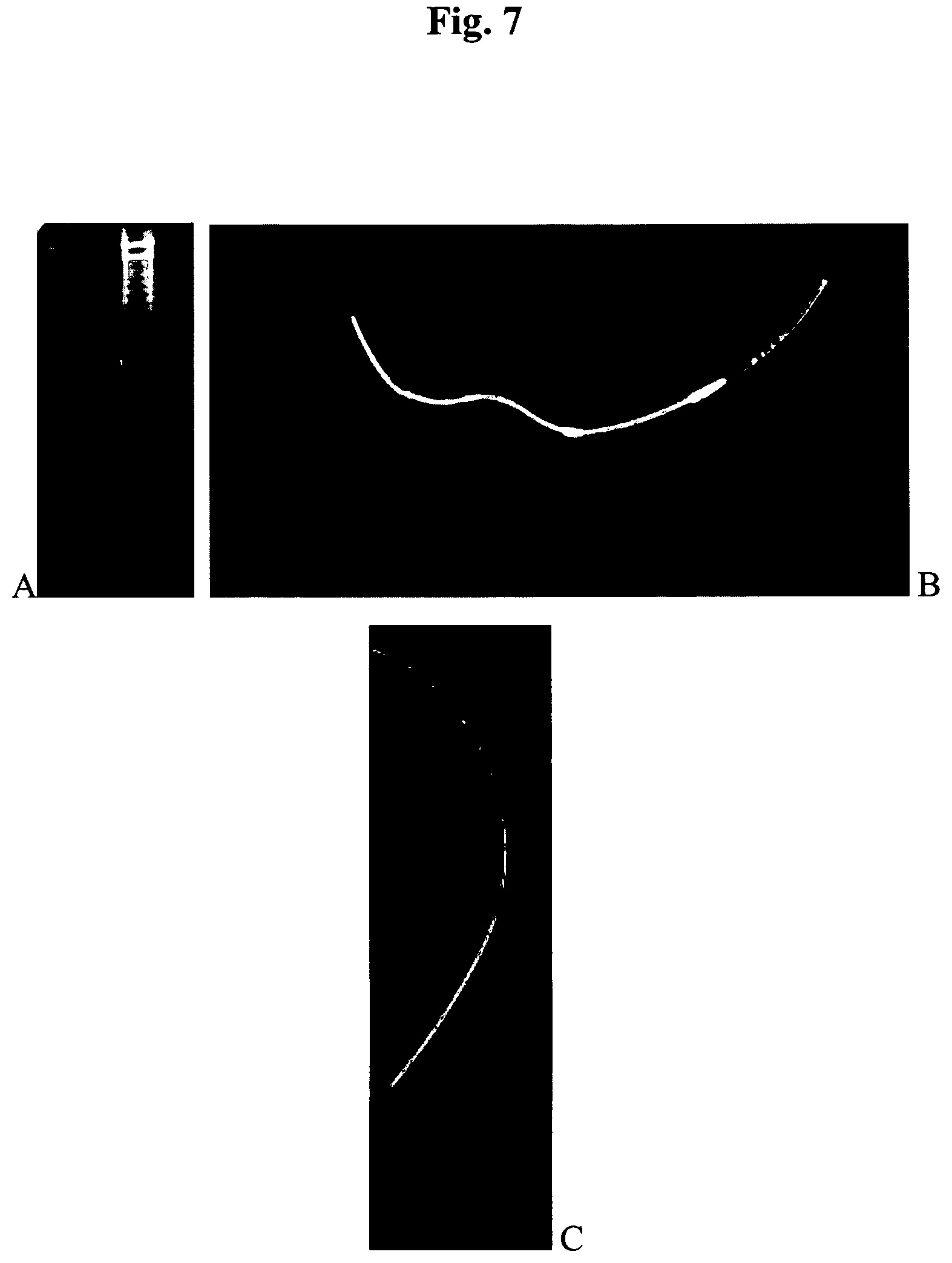 Patent US12617824 Figure 7 – Silk protein coatings
