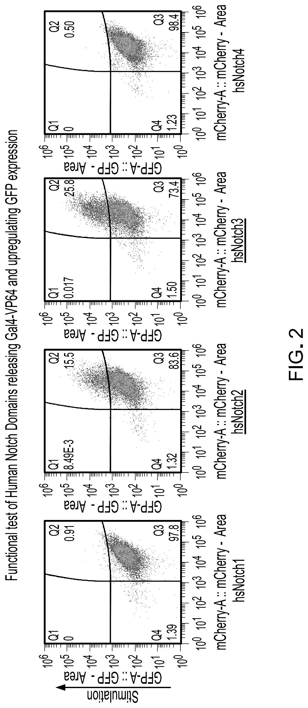 Patent US12617825 Figure 2 – Methods and compositions for reducing the immunogenicity of chimeric notch receptors